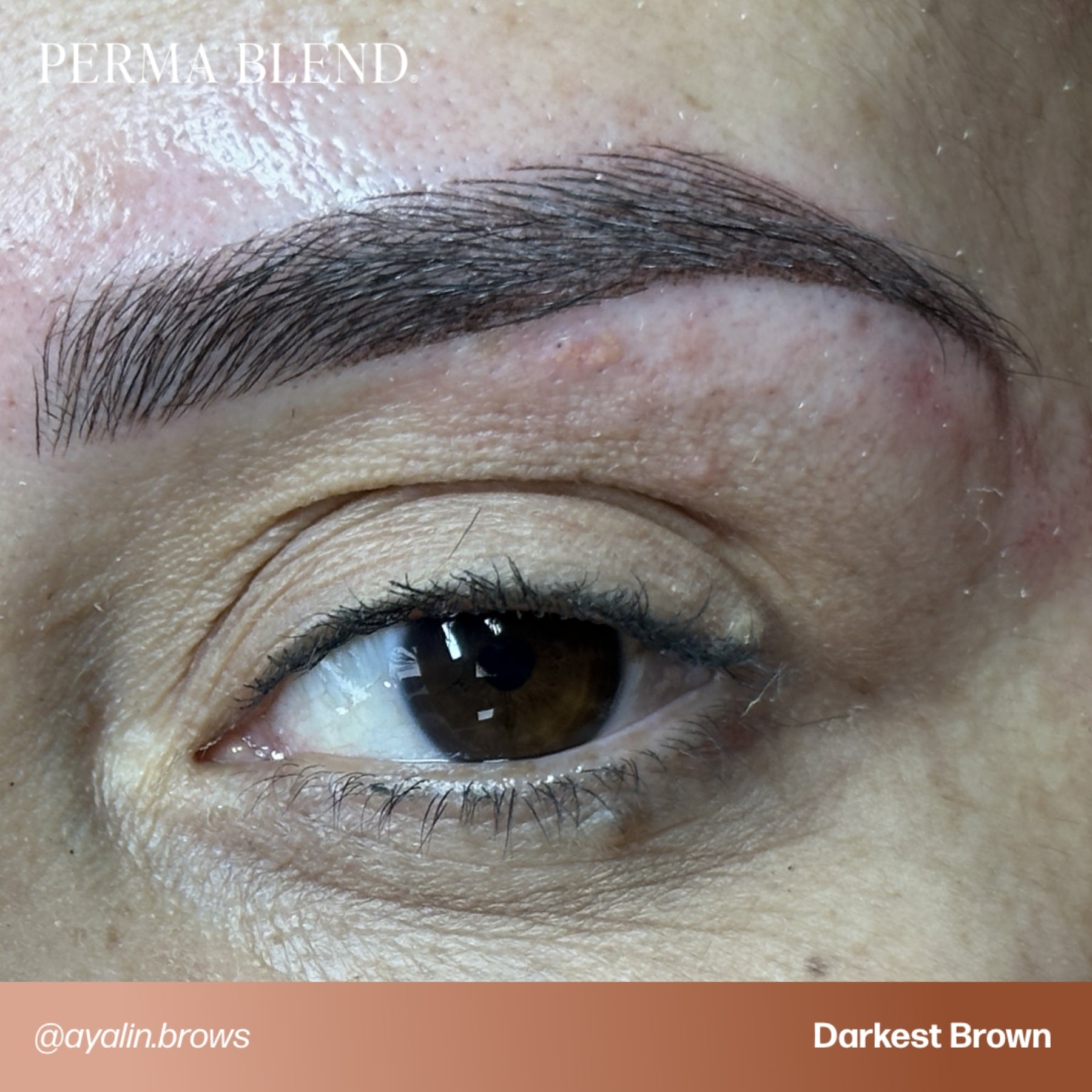 Perma Blend Eyebrow Pigments - Brow Shades - Tina Davies Professional