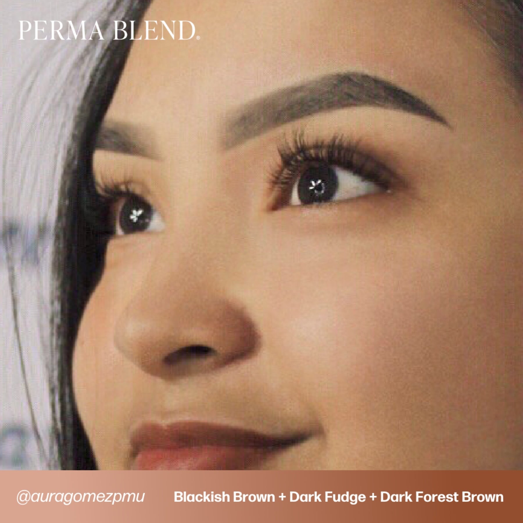 Perma Blend Eyebrow Pigments - Brow Shades - Tina Davies Professional