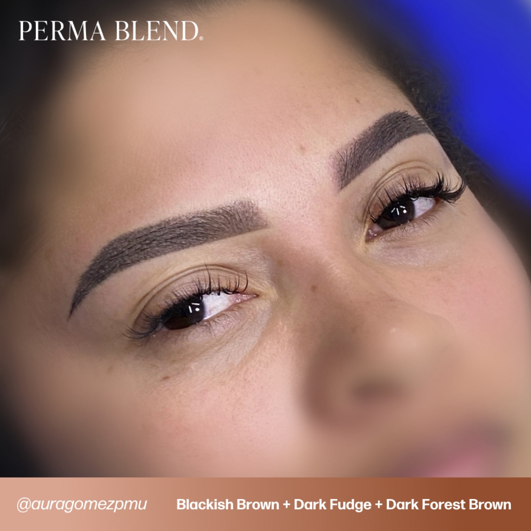 Perma Blend Eyebrow Pigments - Brow Shades - Tina Davies Professional
