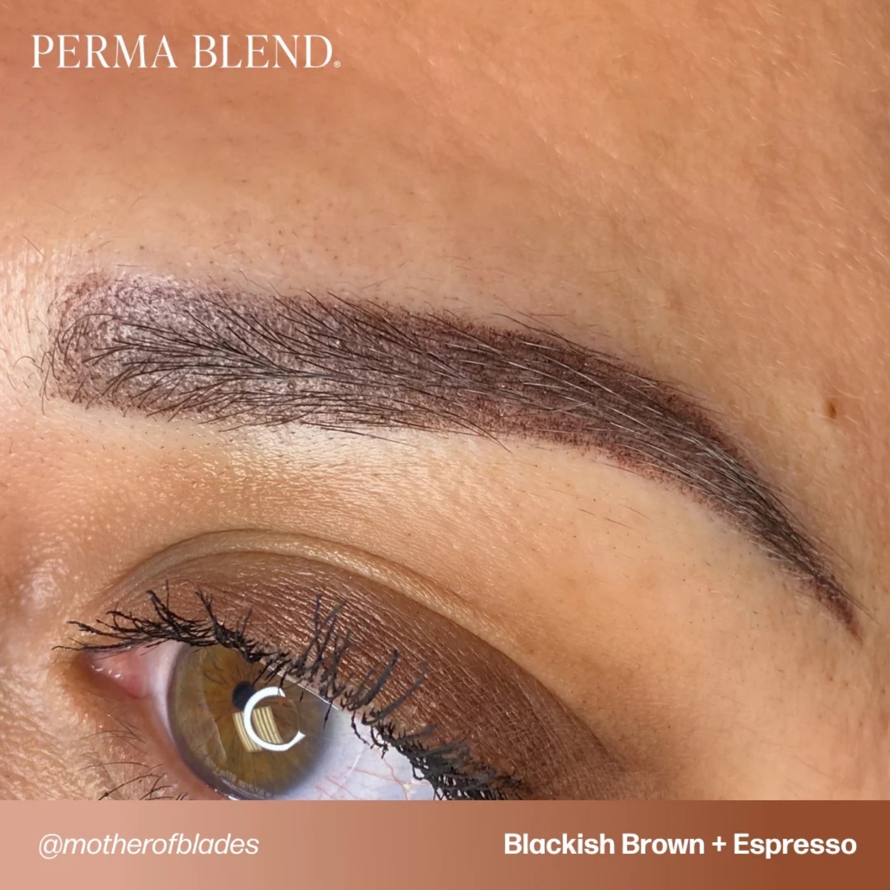 Perma Blend Eyebrow Pigments - Brow Shades - Tina Davies Professional