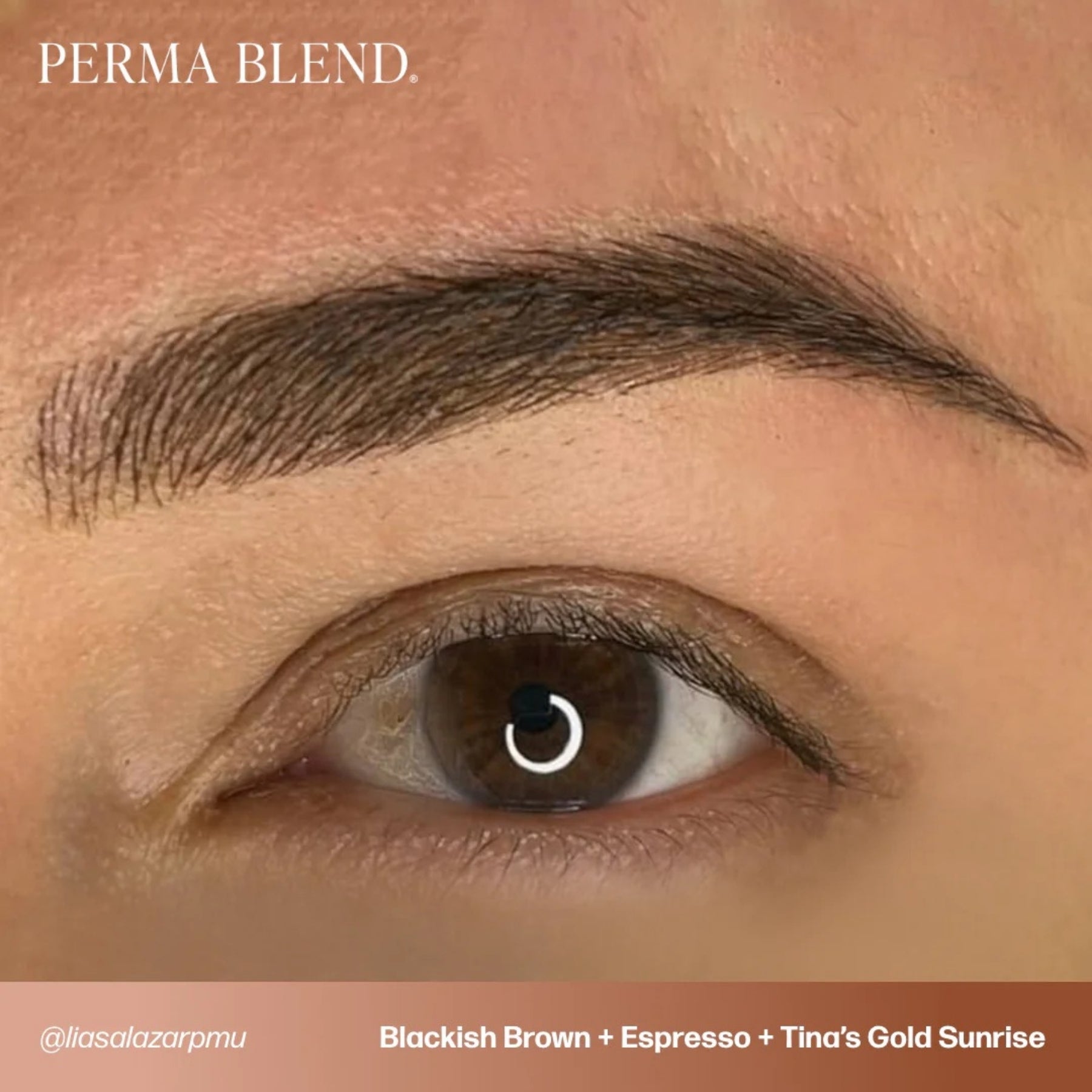 Perma Blend Eyebrow Pigments - Brow Shades - Tina Davies Professional