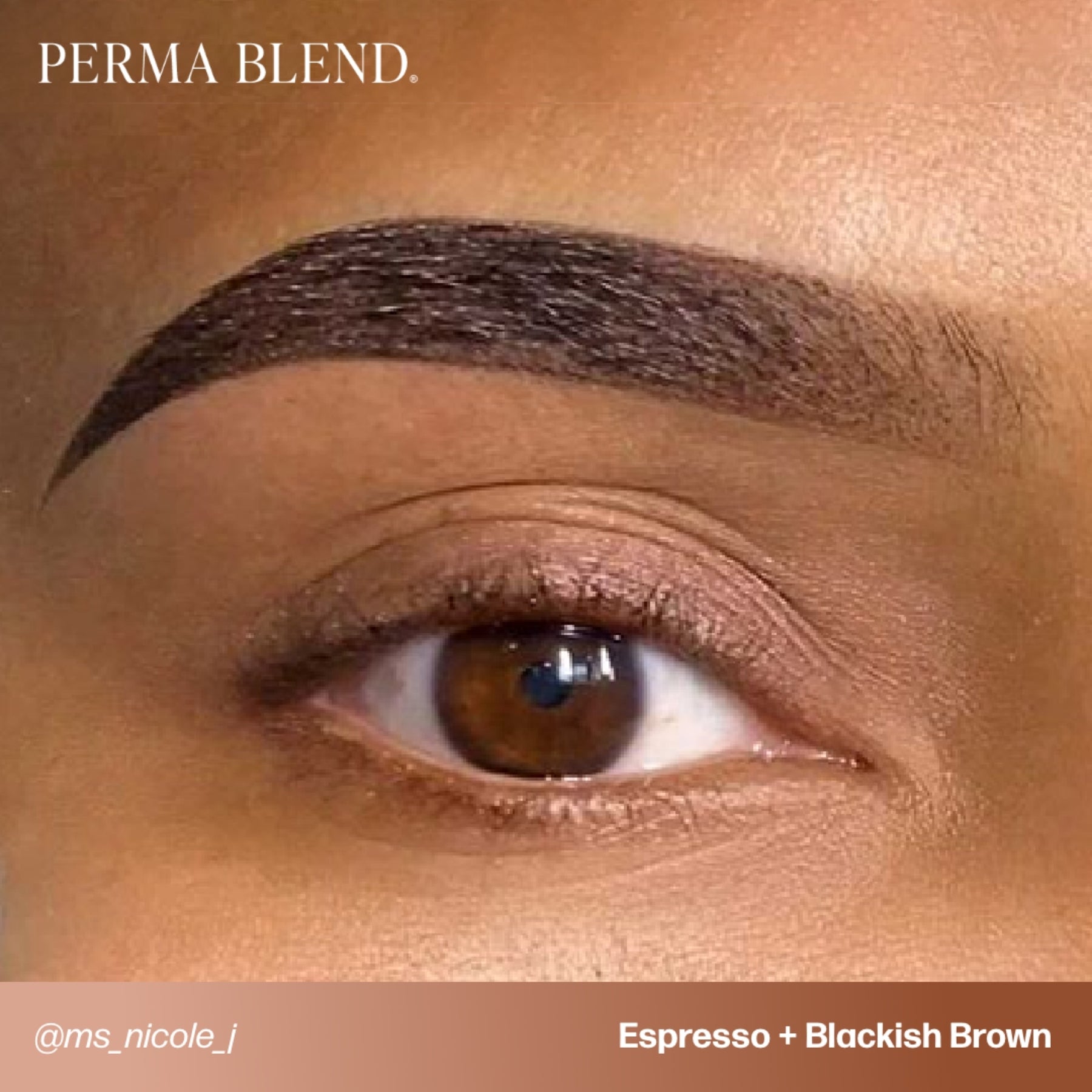 Perma Blend Eyebrow Pigments - Brow Shades - Tina Davies Professional