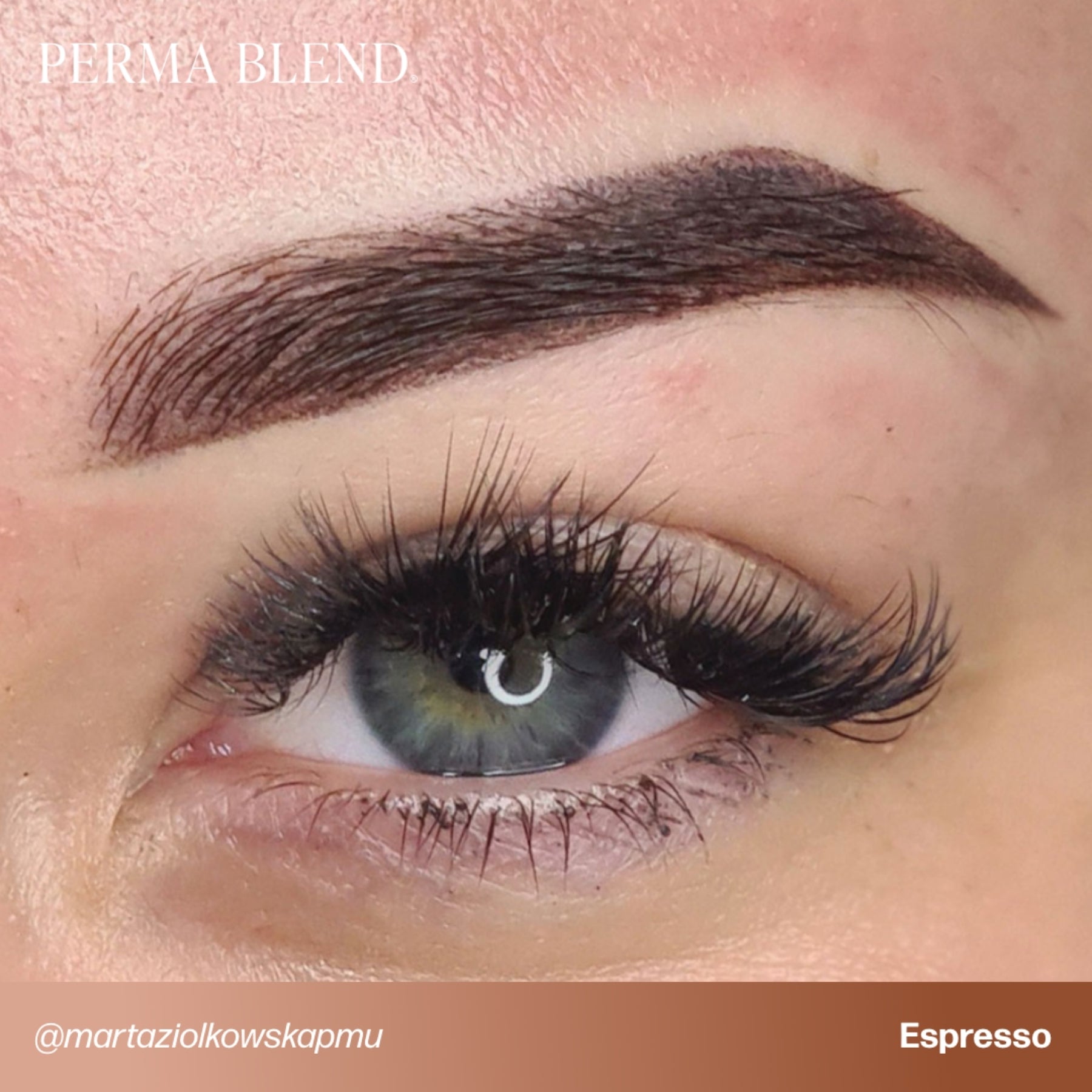 Perma Blend Eyebrow Pigments - Brow Shades - Tina Davies Professional
