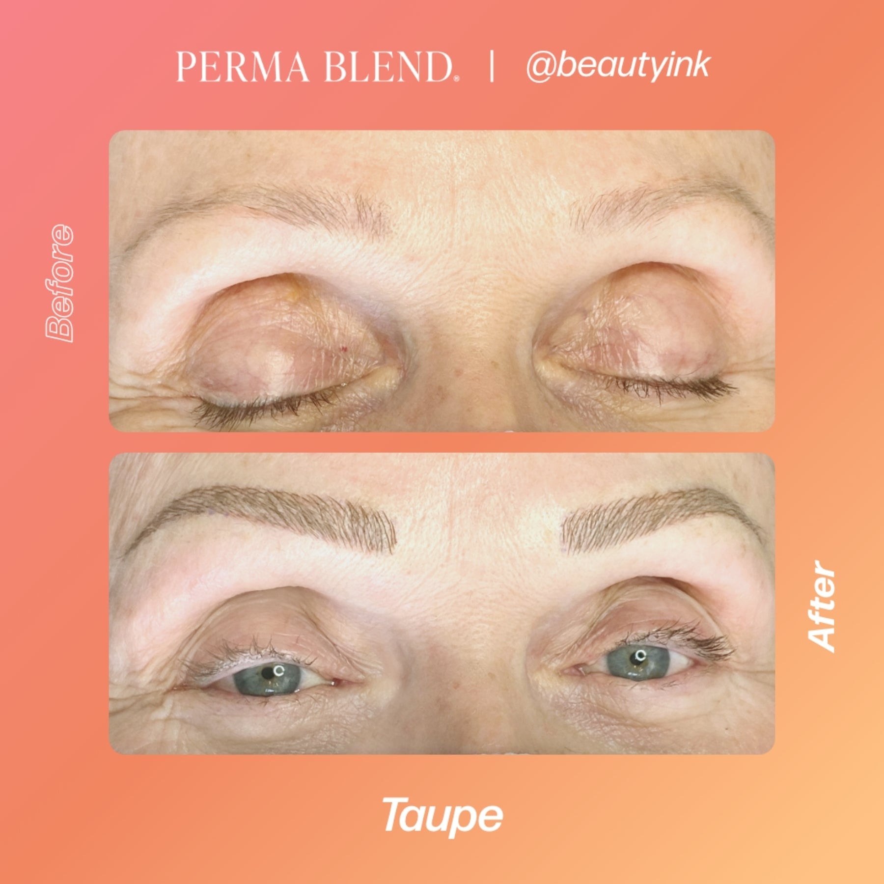 Perma Blend Eyebrow Pigments - Brow Shades - Tina Davies Professional