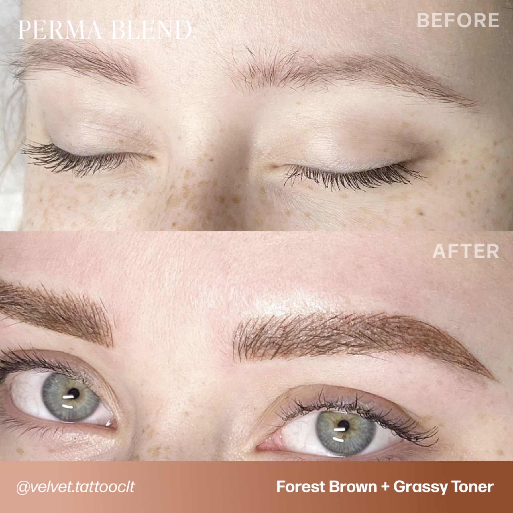 Perma Blend Eyebrow Pigments - Brow Shades - Tina Davies Professional