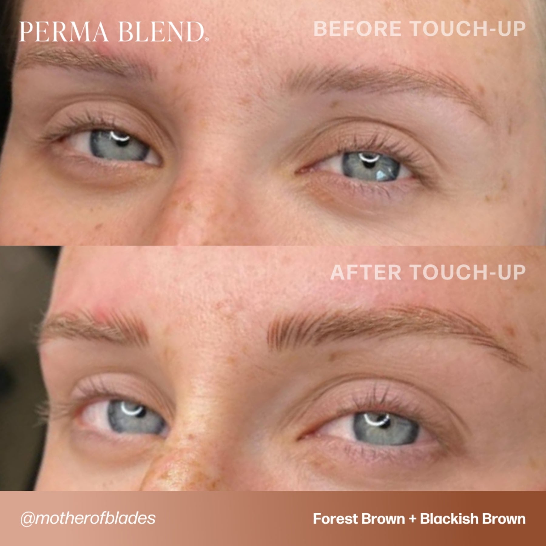 Perma Blend Eyebrow Pigments - Brow Shades - Tina Davies Professional