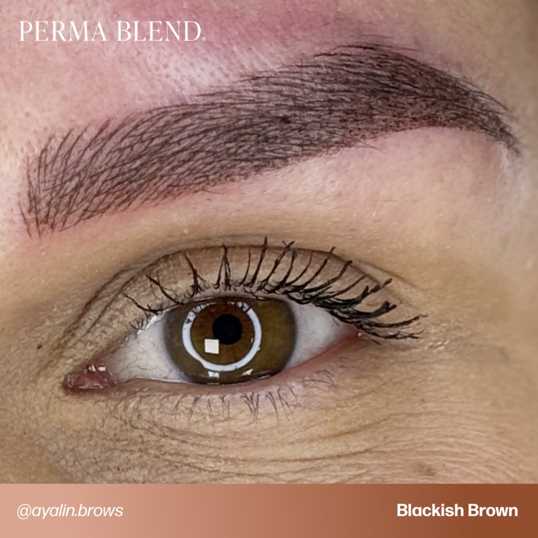 Perma Blend Eyebrow Pigments - Brow Shades - Tina Davies Professional