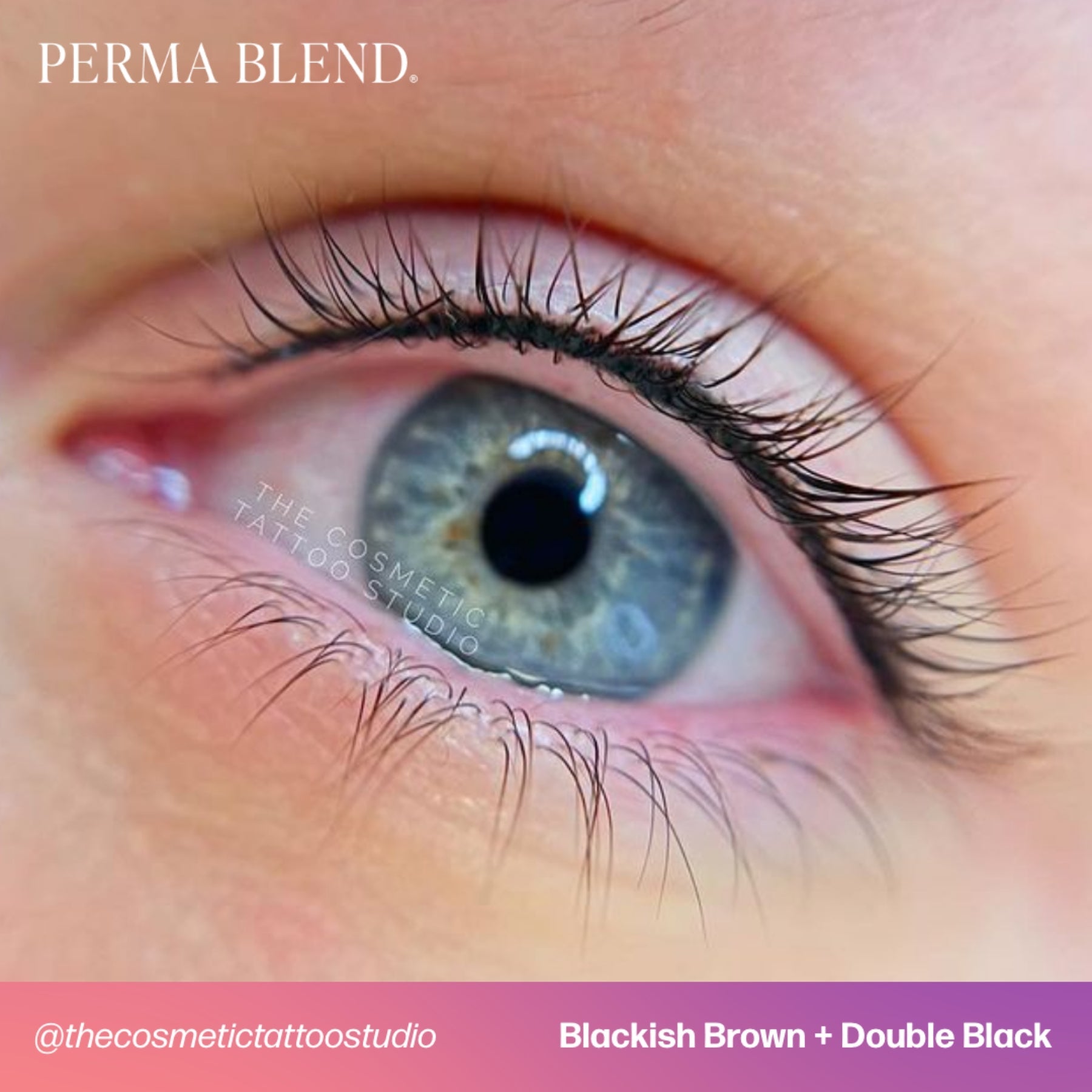 Perma Blend Eyeliner Pigments - Tina Davies Professional