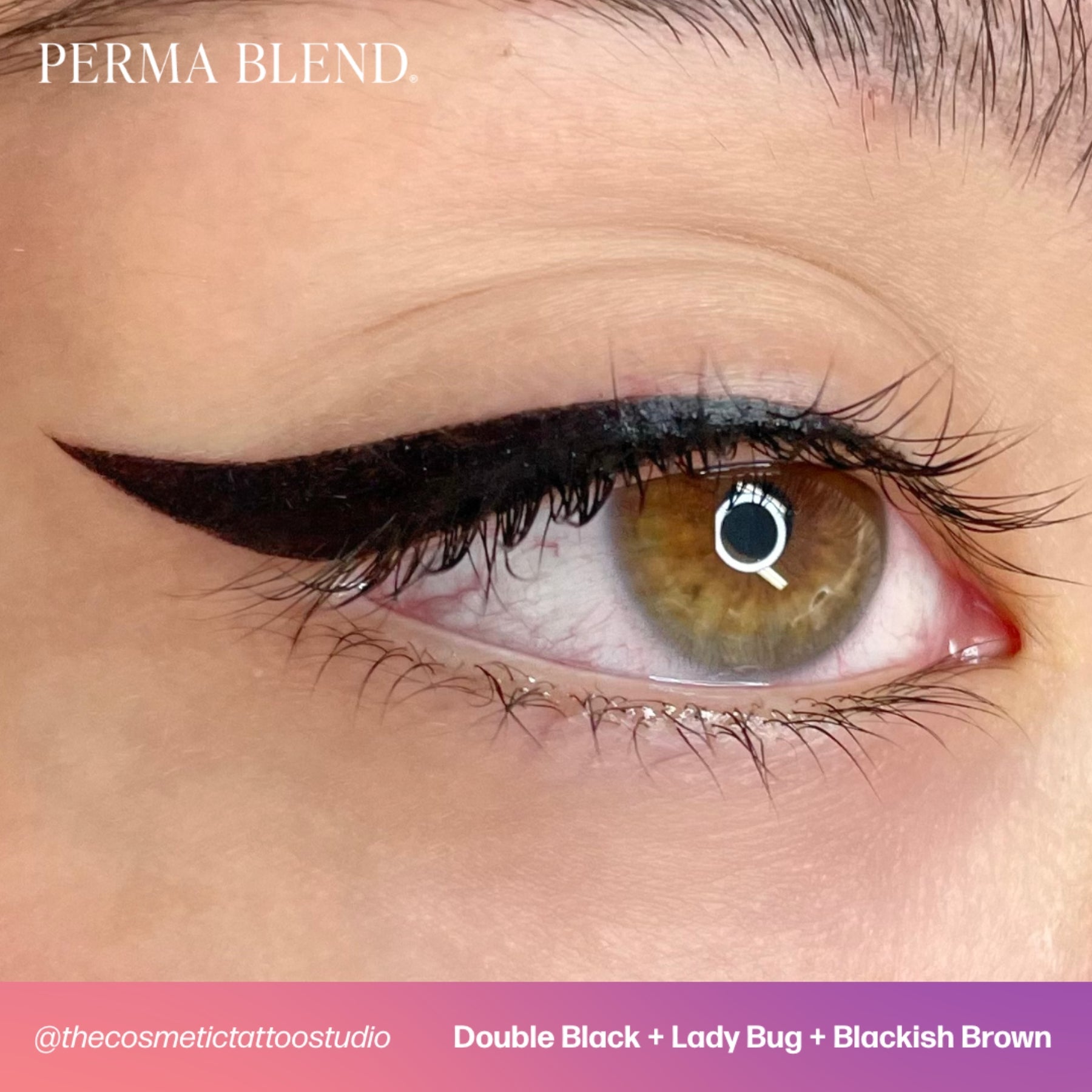 Perma Blend Eyeliner Pigments - Tina Davies Professional