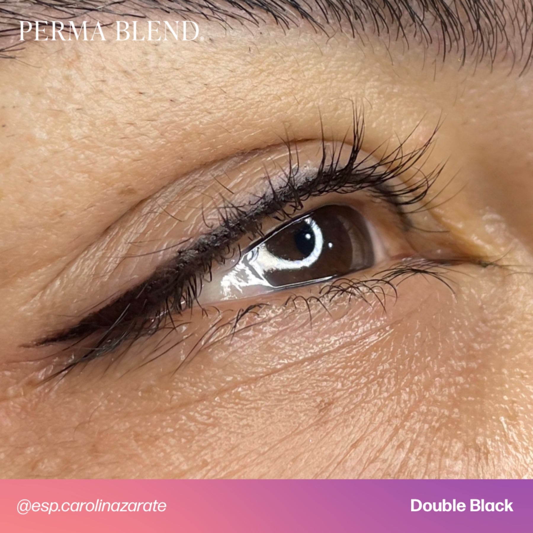 Perma Blend Eyeliner Pigments - Tina Davies Professional