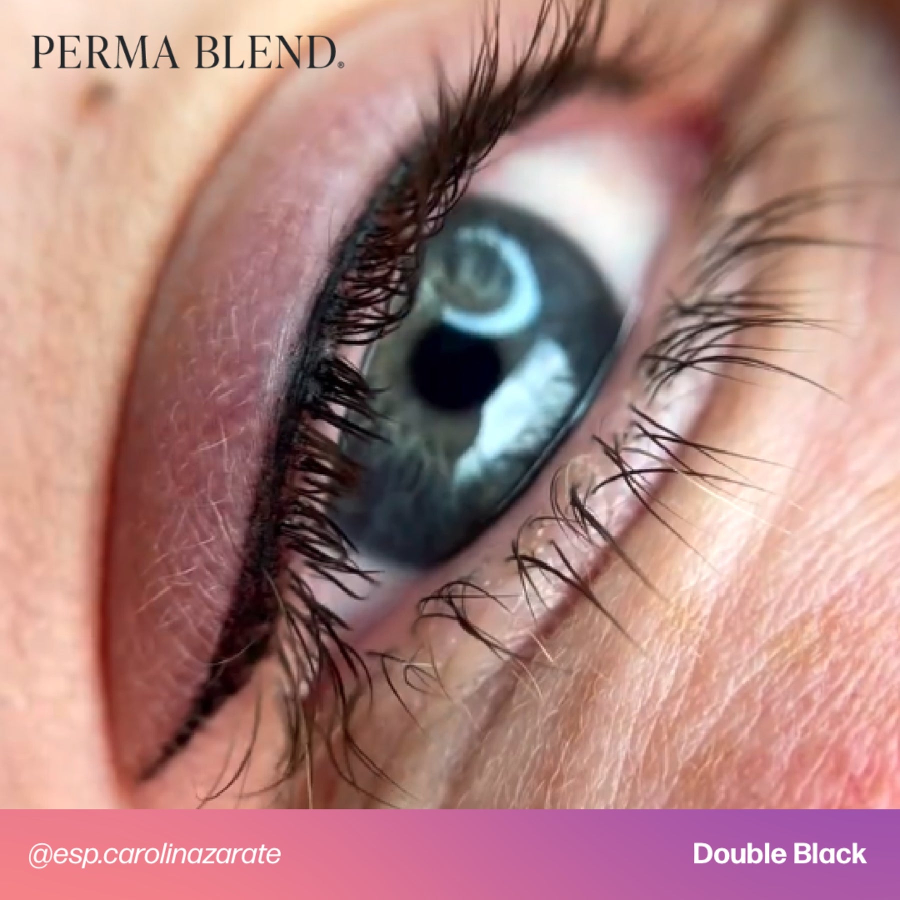 Perma Blend Eyeliner Pigments - Tina Davies Professional