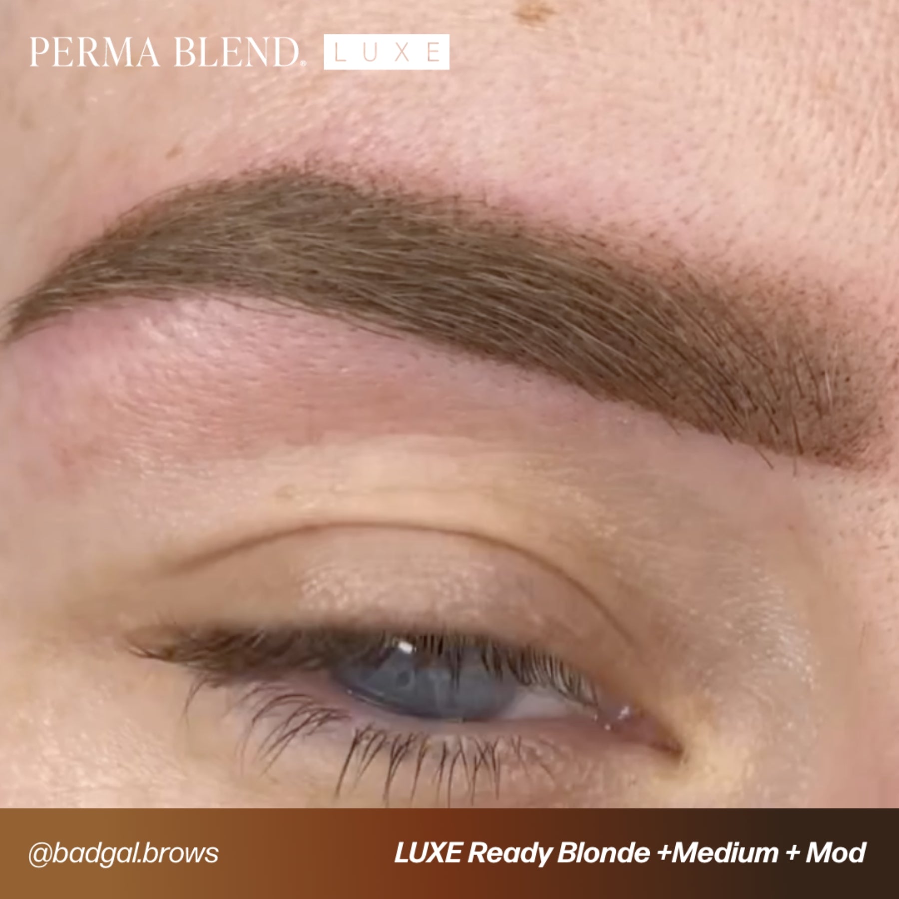 Perma Blend Luxe Ready - Set - Go Pre - Modified Brow Pigment Set - Tina Davies Professional