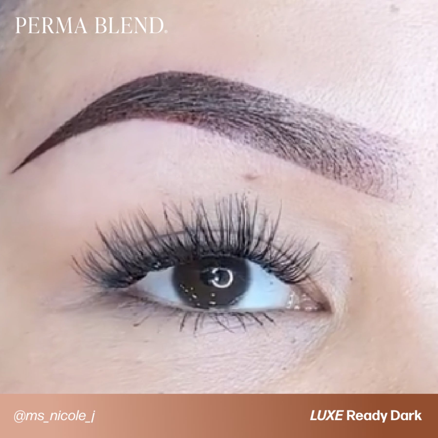 Perma Blend Luxe Ready - Set - Go Pre - Modified Brow Pigment Set - Tina Davies Professional