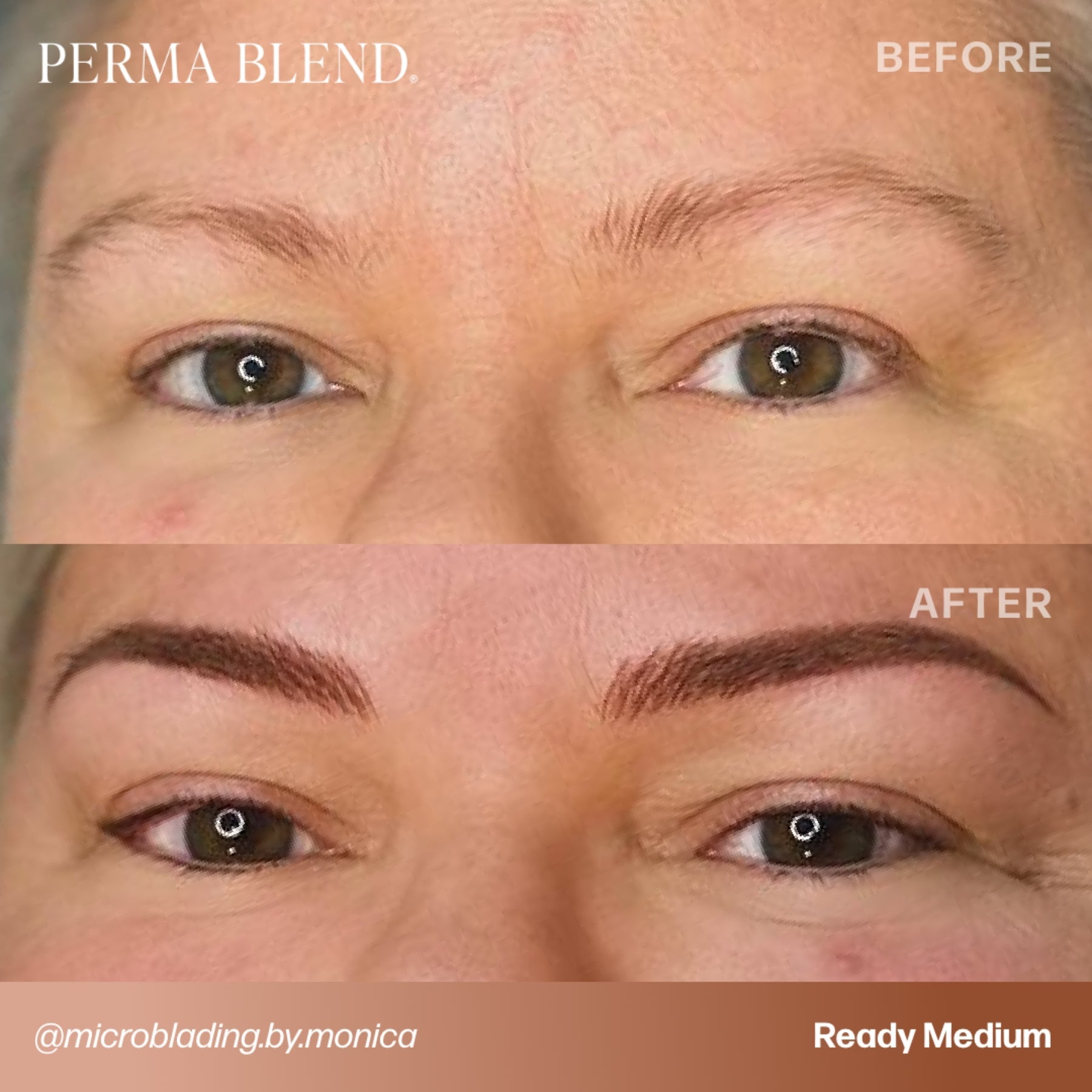 Perma Blend Luxe Ready - Set - Go Pre - Modified Brow Pigment Set - Tina Davies Professional