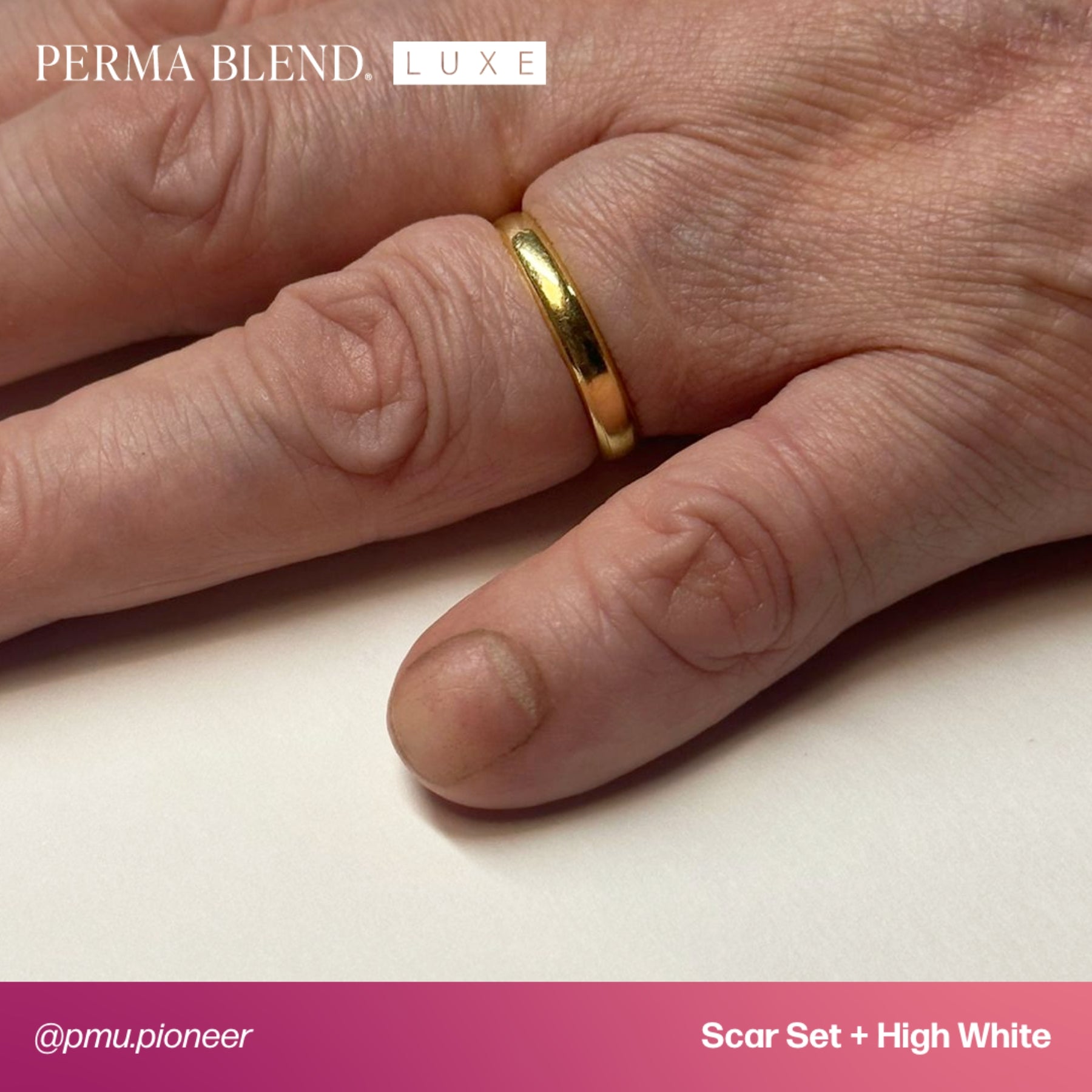 Perma Blend Scar Pigment Set - Tina Davies Professional