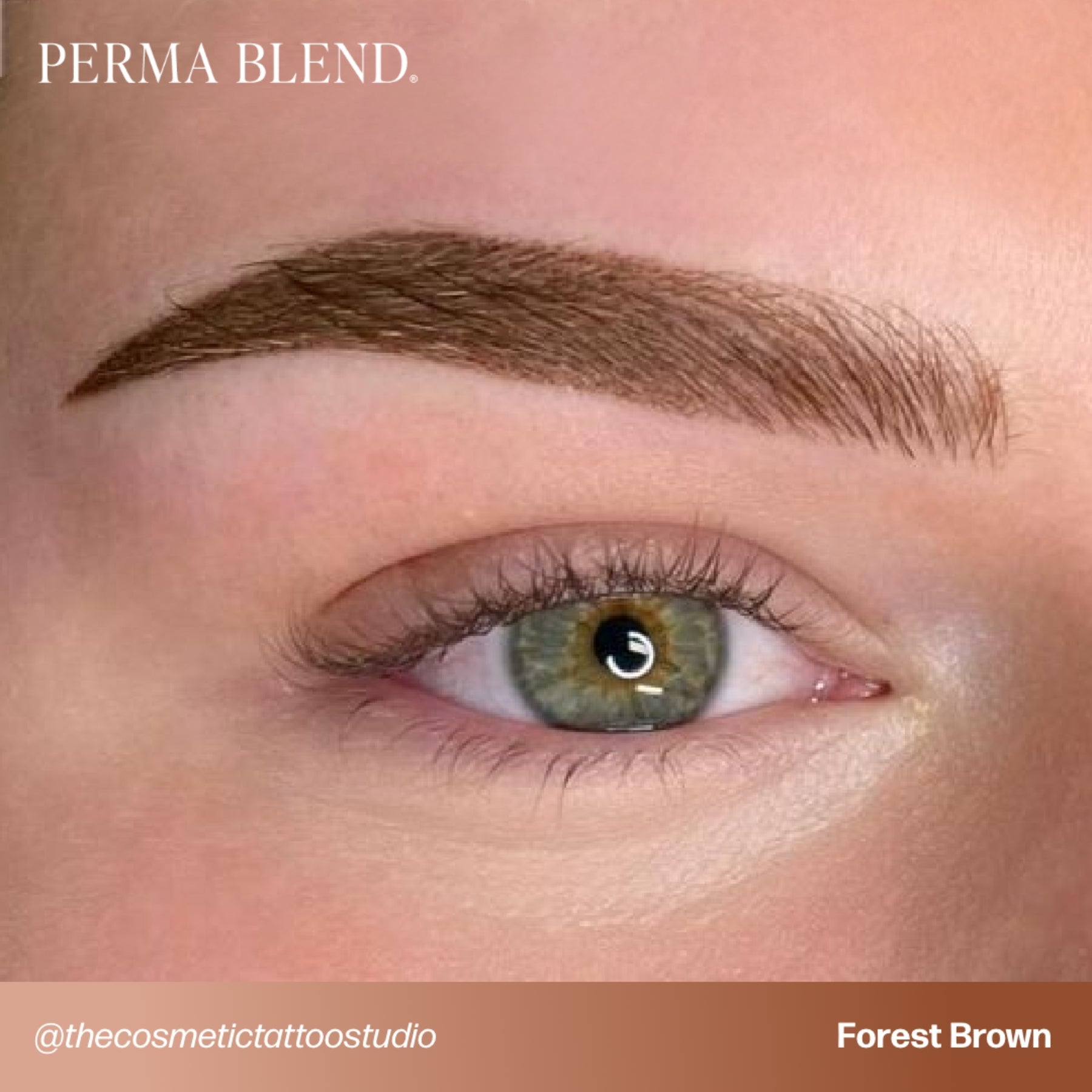 Perma Blend Signature Brow Set - Tina Davies Professional