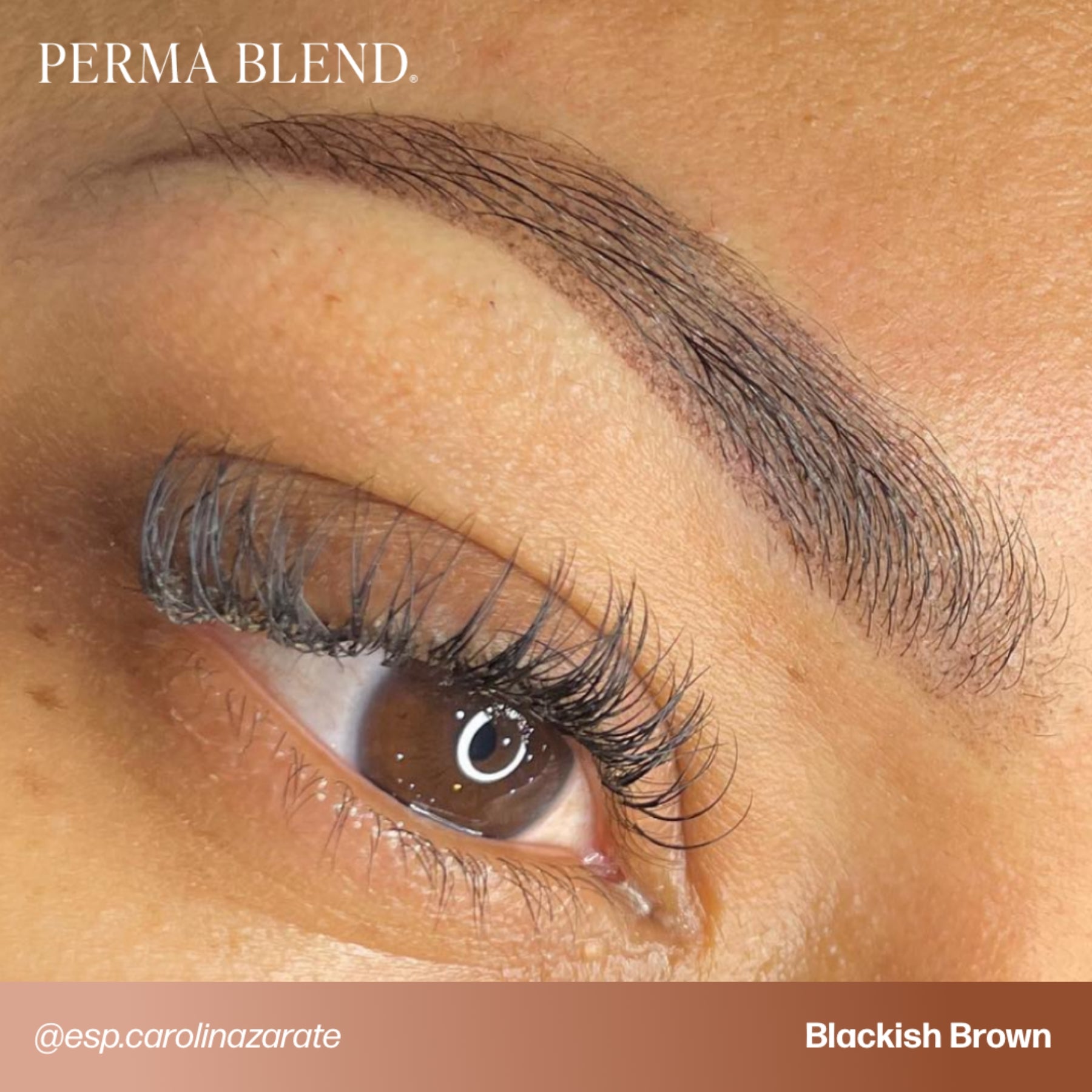 Perma Blend Signature Brow Set - Tina Davies Professional