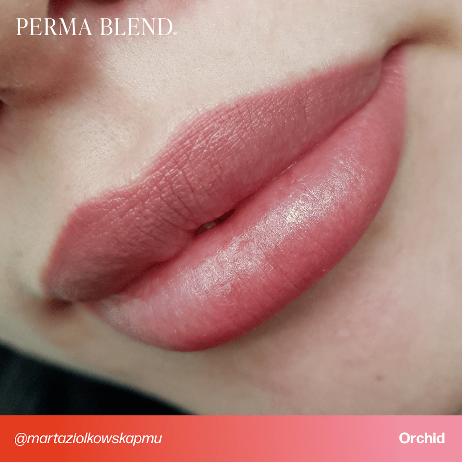 Perma Blend Signature Lip Set - Tina Davies Professional