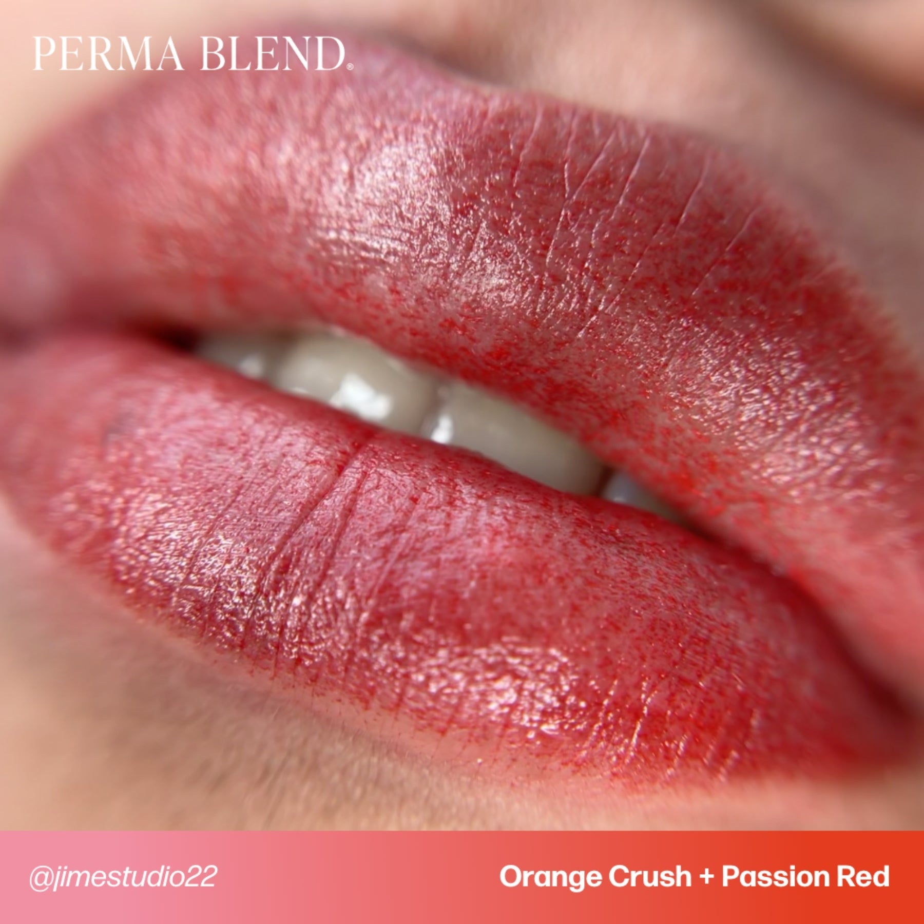 Perma Blend Signature Lip Set - Tina Davies Professional