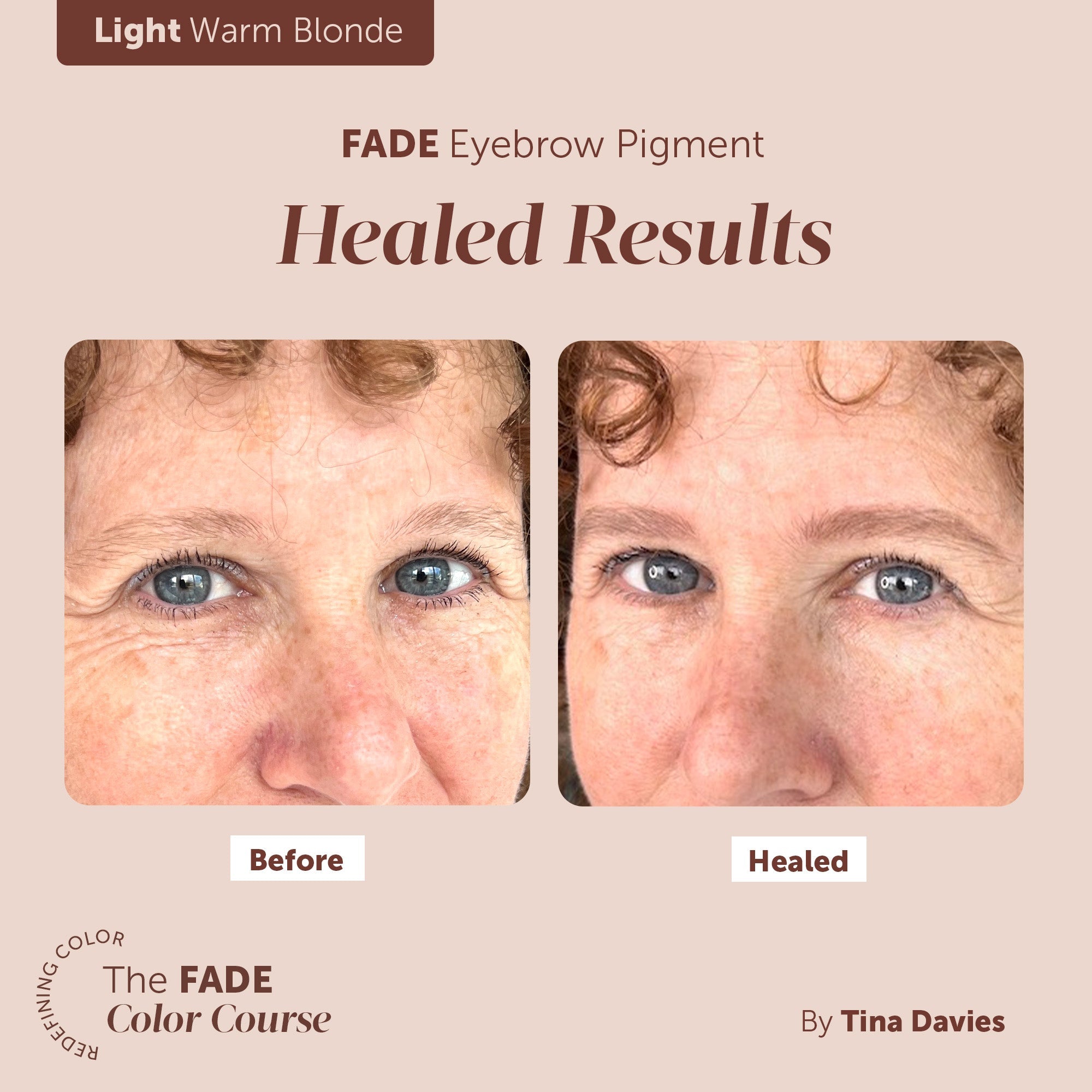 Redefining Color: The FADE Color Course - Color Selection Course for FADE Eyebrow Pigments on The Collective by Tina Davies