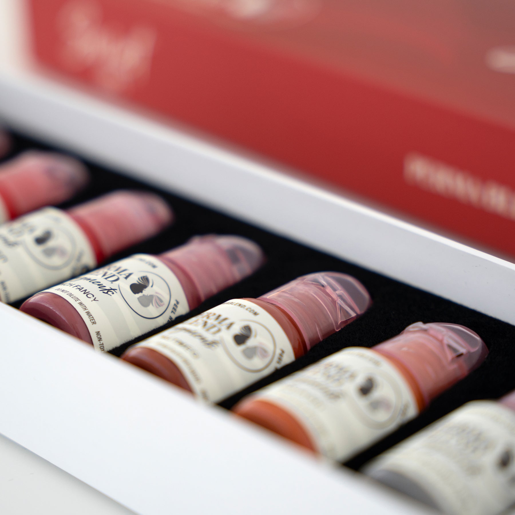 Perma Blend Sultry Lip Pigment Set - Lip Blushing Tattooing Permanent Makeup Pigments - Tina Davies Professional