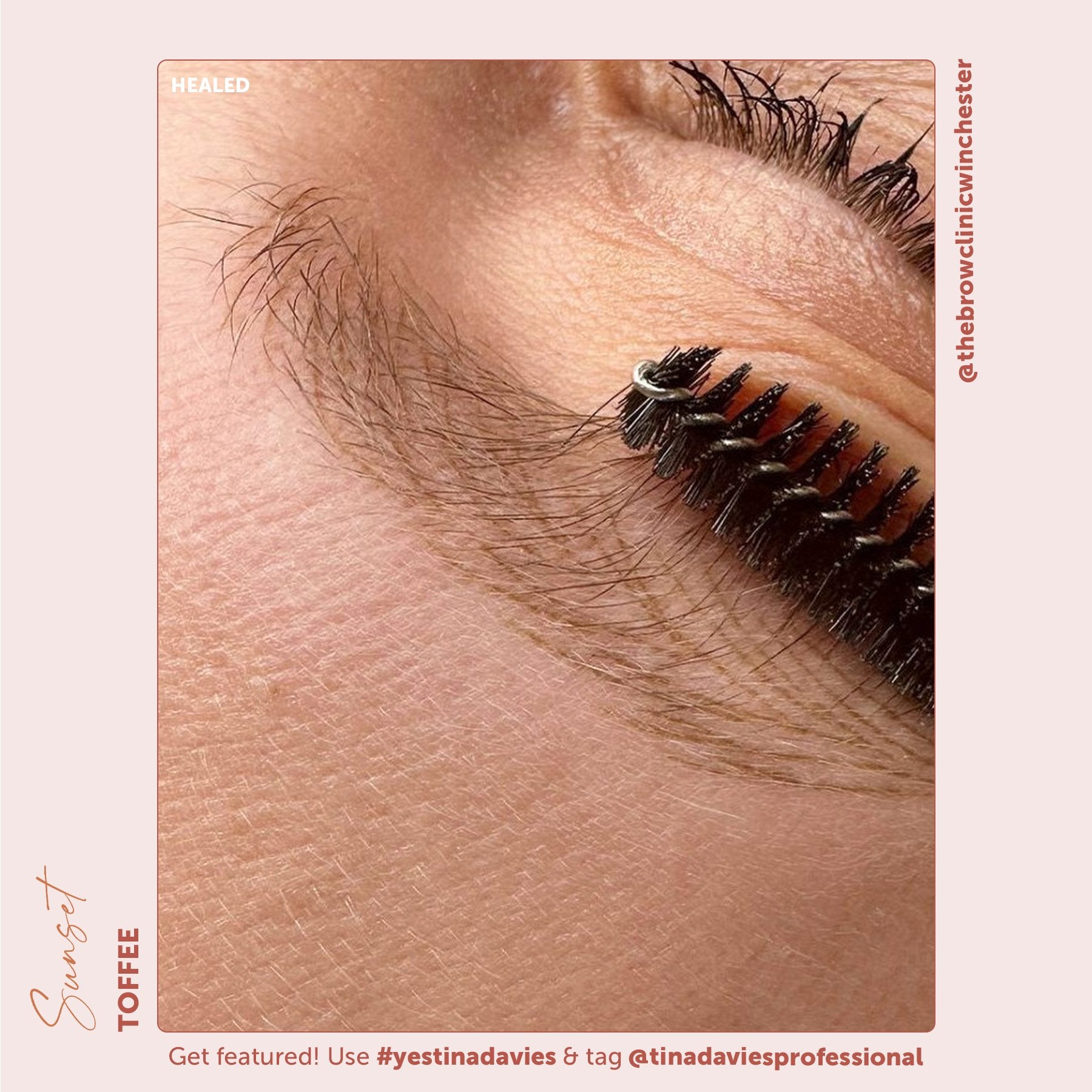 Perma Blend x Tina Davies Sunset Brow Pigments -Toffee - Permanent Makeup Eyebrow Pigments - Tina Davies Professional