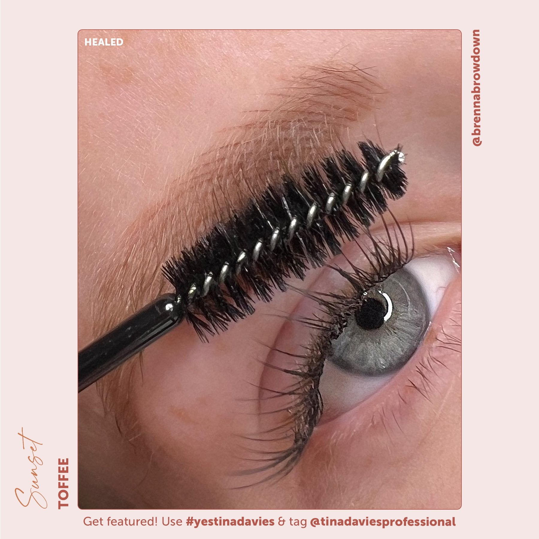 Perma Blend x Tina Davies Sunset Brow Pigments -Toffee - Permanent Makeup Eyebrow Pigments - Tina Davies Professional