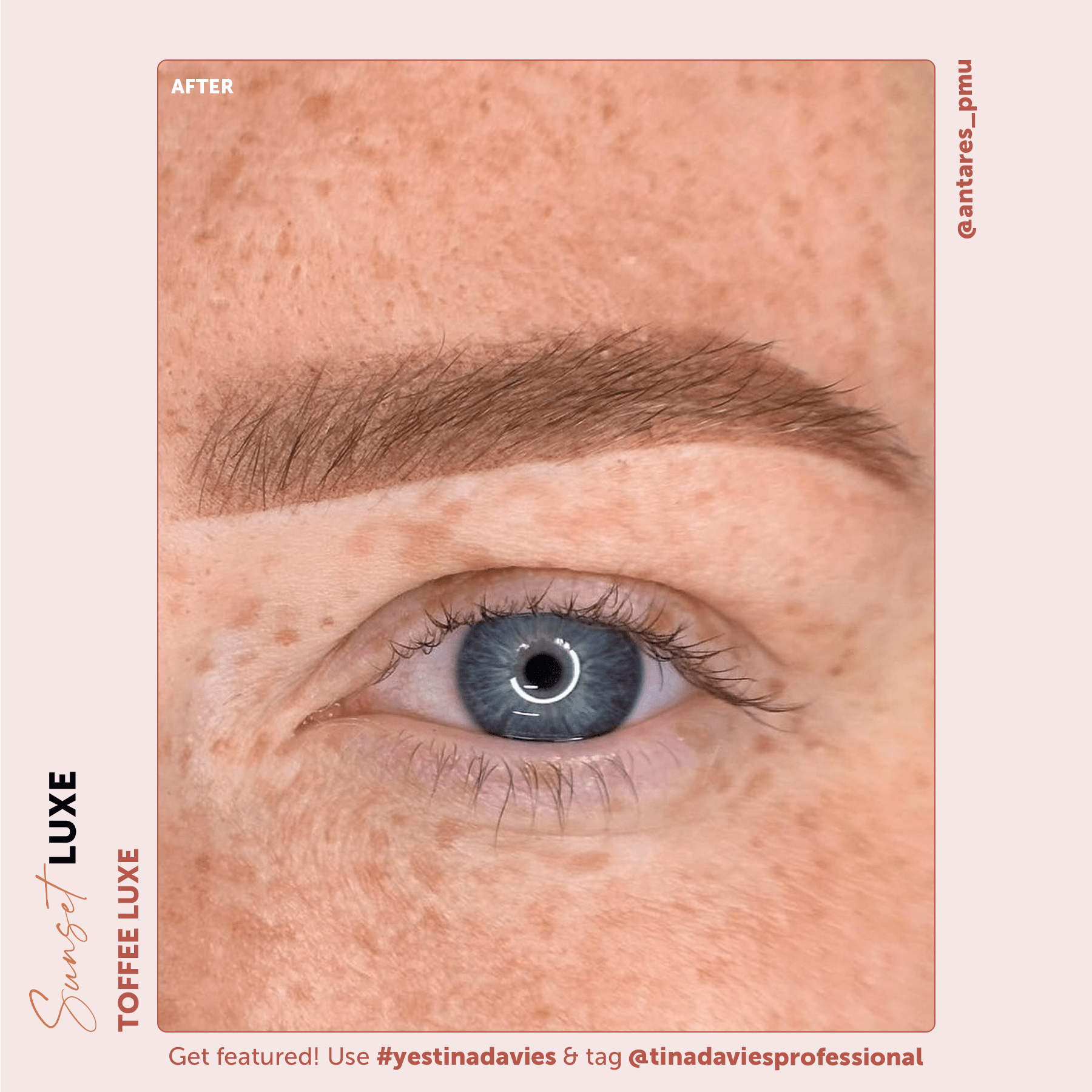 Sunset Brow Pigments LUXE - Tina Davies Professional
