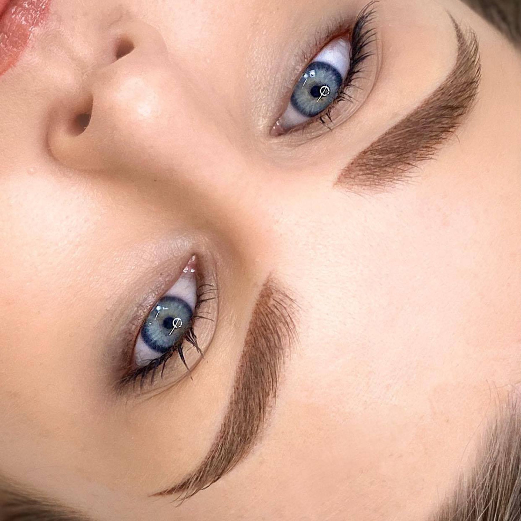 Elaine Campin The Perfect Brow Online Permanent Makeup Course on The Collective by Tina Davies Professional