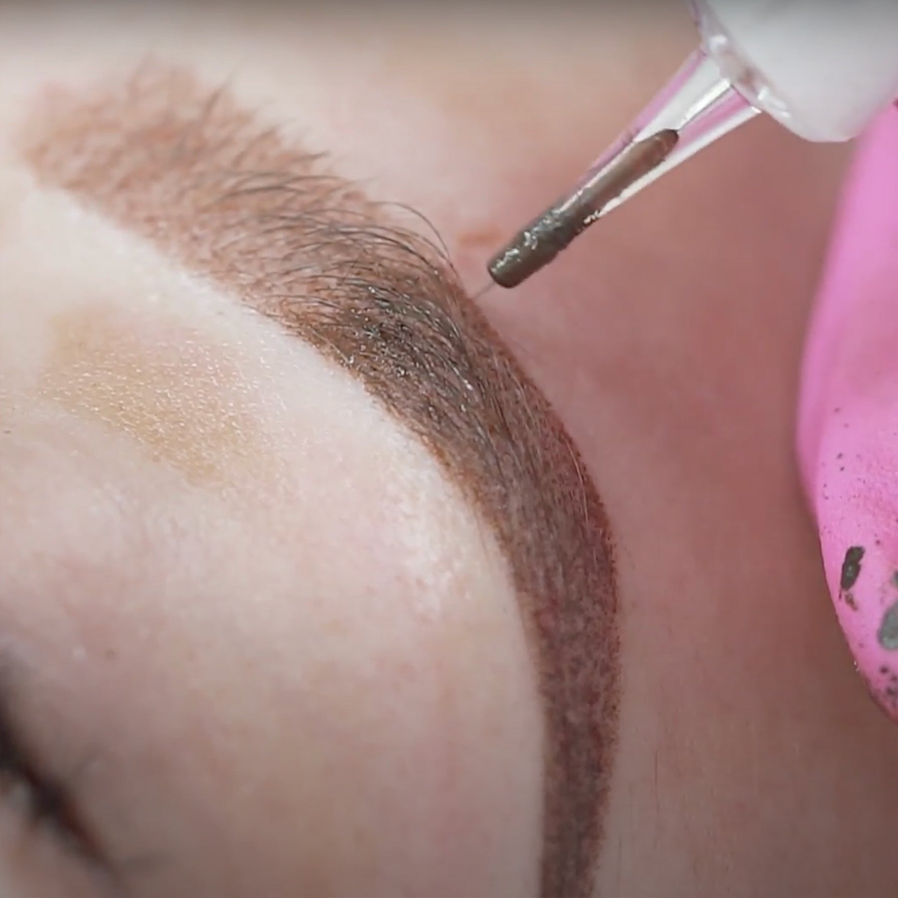 Elaine Campin The Perfect Brow Online Permanent Makeup Course on The Collective by Tina Davies Professional