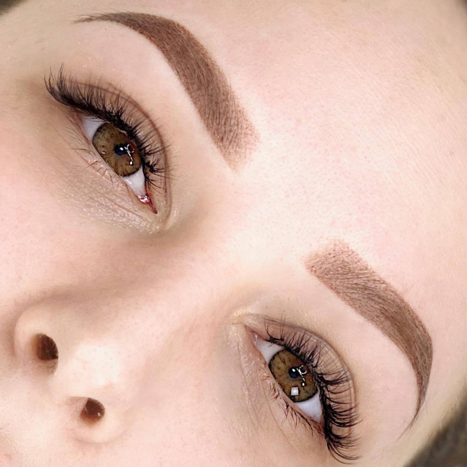 Elaine Campin The Perfect Brow Online Permanent Makeup Course on The Collective by Tina Davies Professional