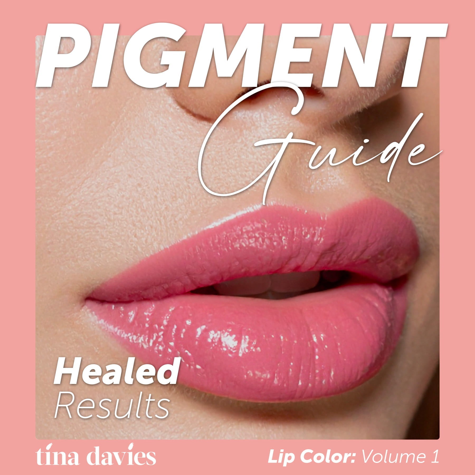 Tina Davies Pigment Guide: Healed Results Lip Color: Volume 1 - Tina Davies Professional