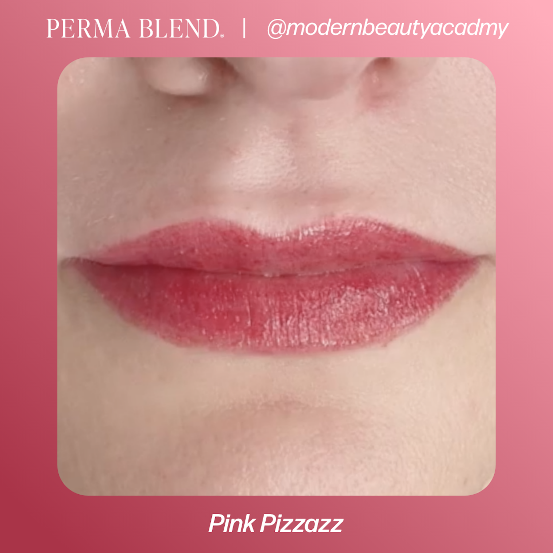 Perma Blend Lip Pigments