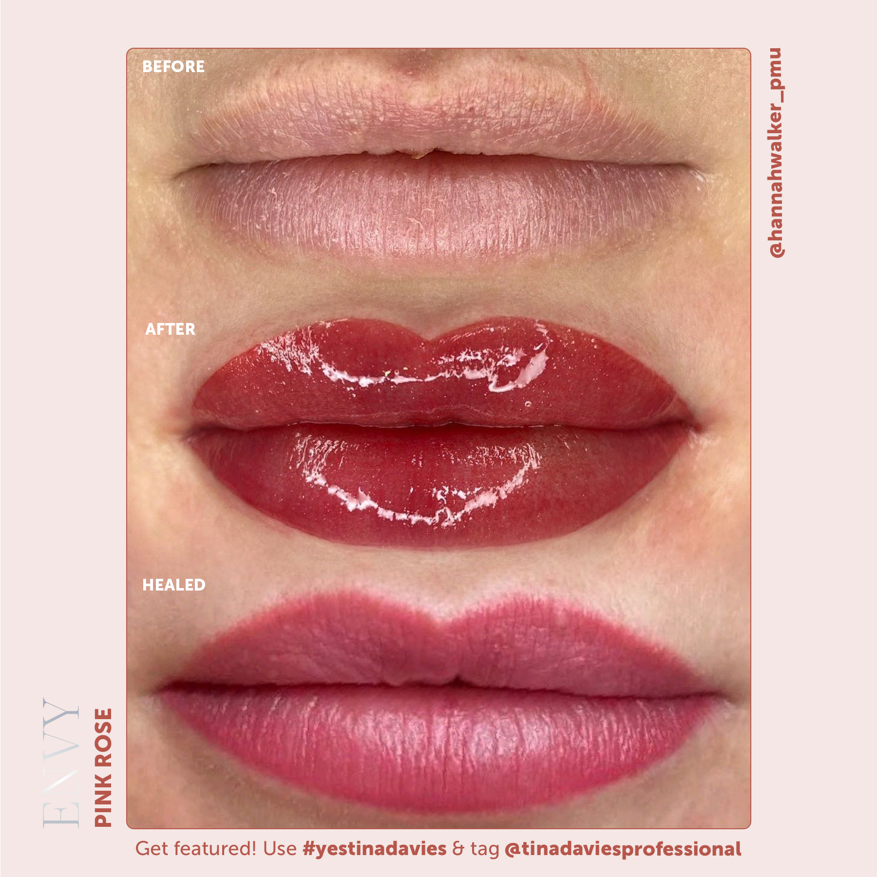 Tina Davies x Perma Blend Envy Lip Pigments - Envy Pink Rose Healed Result Lip Blushing Permanent Makeup Pigments