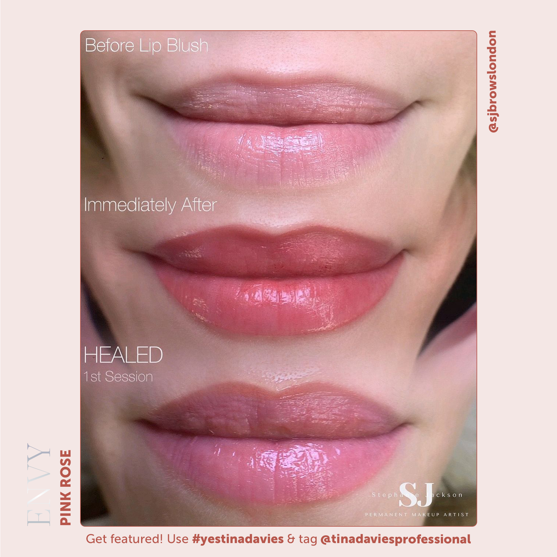 Tina Davies x Perma Blend Envy Lip Pigments - Envy Pink Rose Healed Result Lip Blushing Permanent Makeup Pigments