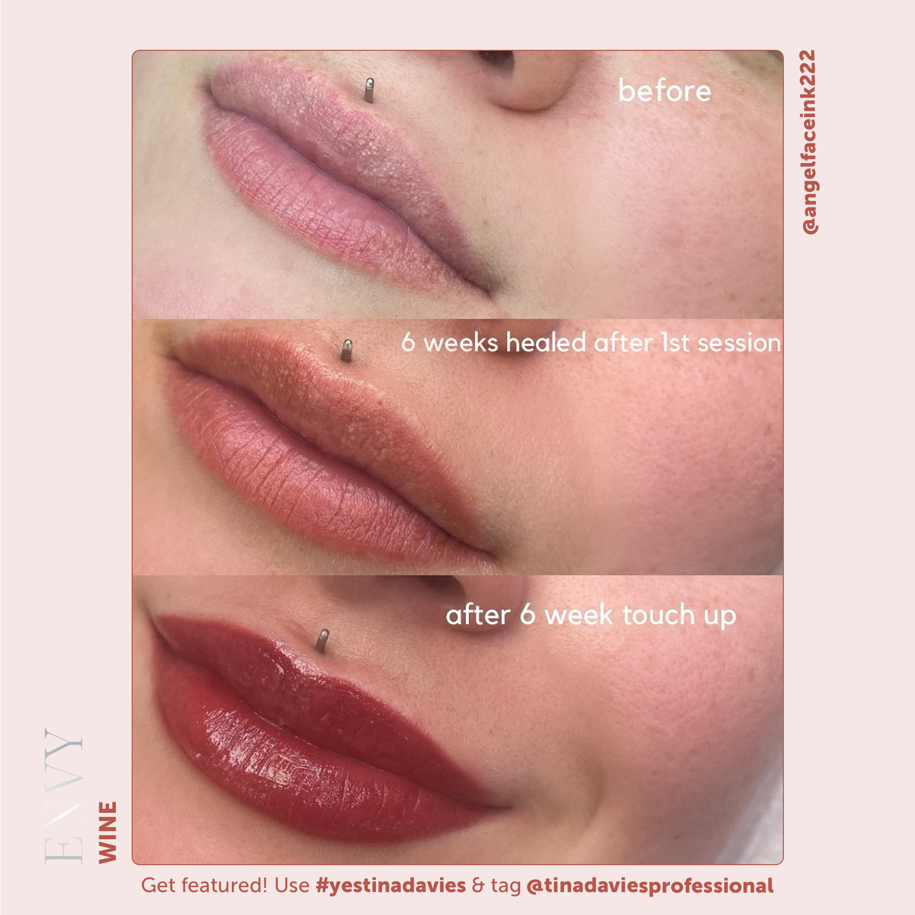 Tina Davies x Perma Blend Envy Lip Pigments - Envy Wine Healed Result Lip Blushing Permanent Makeup Pigments