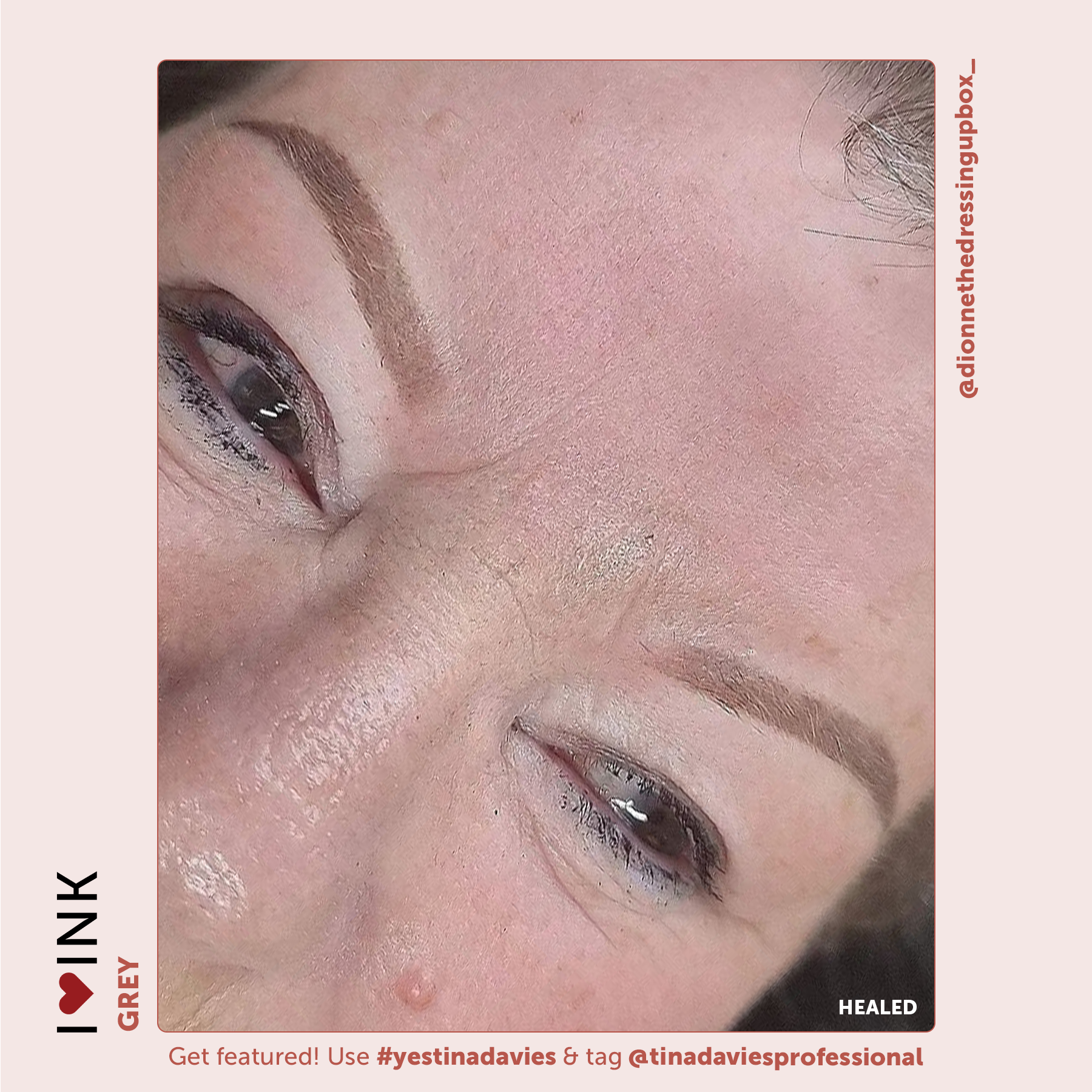 Tina Davies x Perma Blend I ❤️ INK Eyebrow Pigments Grey - Organic-based, Hybrid Eyebrow Permanent Makeup Pigments