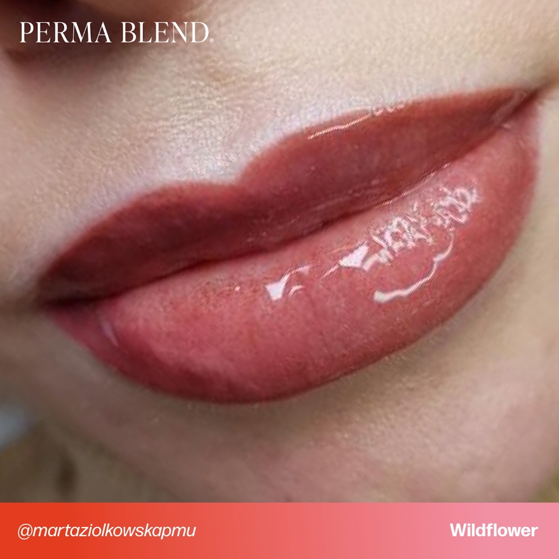 Perma Blend Lip Pigments