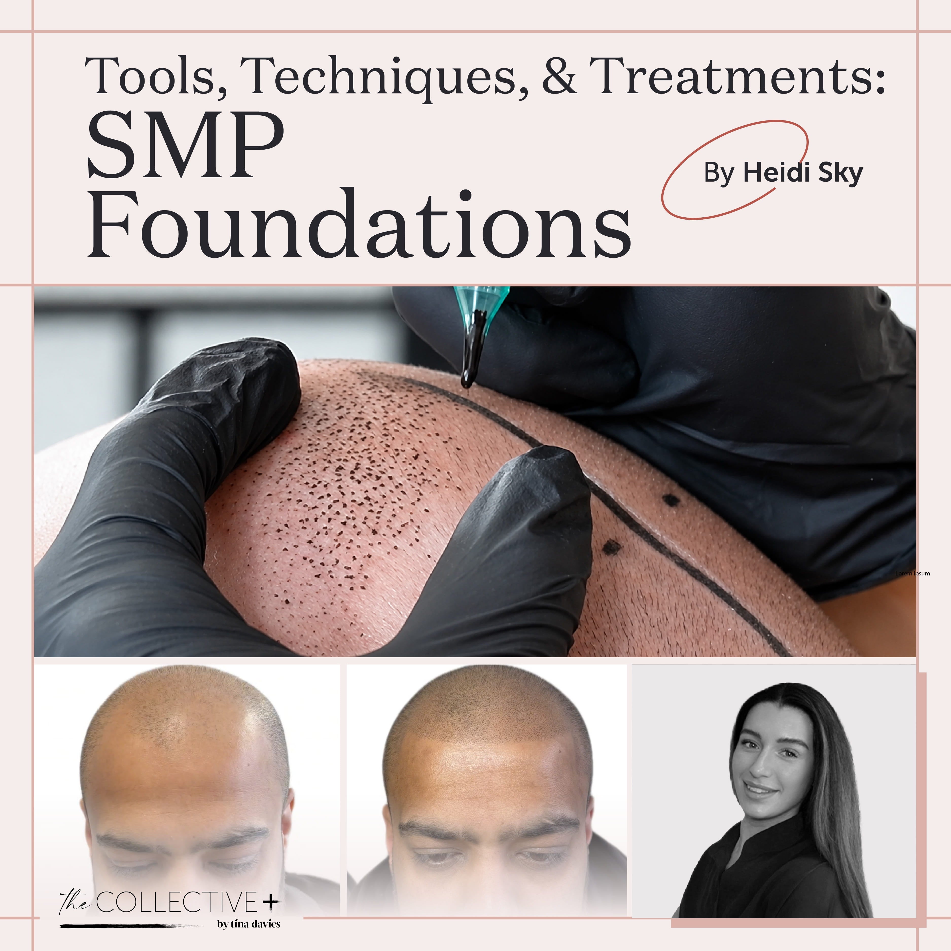 Tools, Techniques, & Treatments: SMP Foundations by Heidi Sky