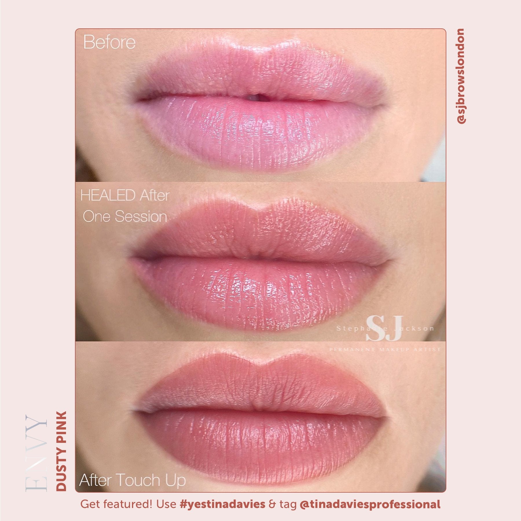 Tina Davies x Perma Blend Envy Lip Pigments - Envy Dusty Pink Healed Results Lip Blushing Permanent Makeup Pigments