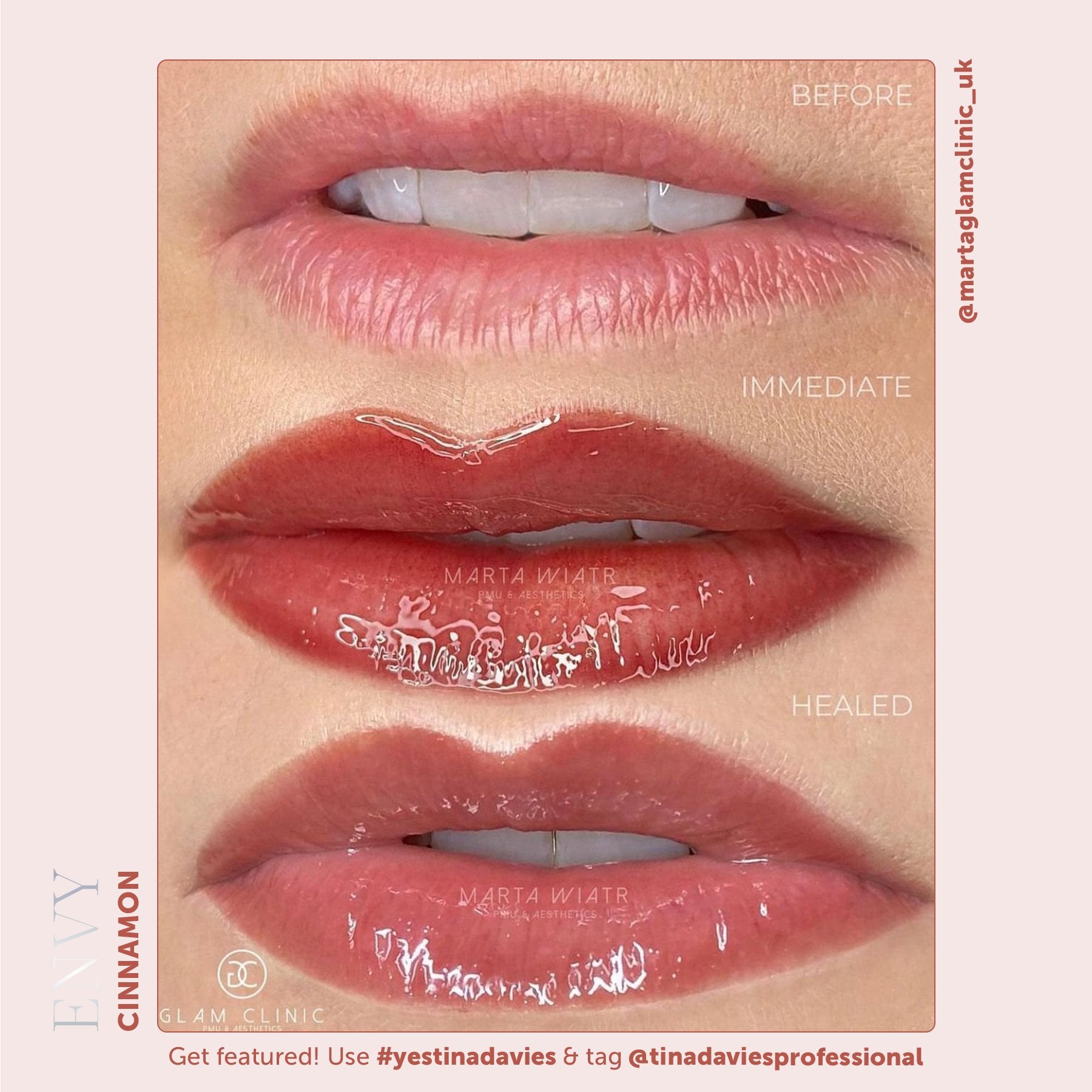 Tina Davies x Perma Blend Envy Lip Pigments - Envy Cinnamon Lip Blushing Permanent Makeup Pigments - Tina Davies Professional