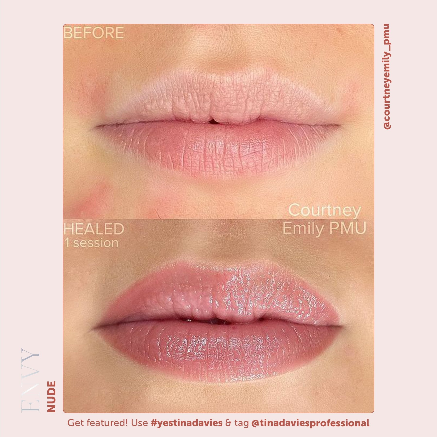 Tina Davies x Perma Blend Envy Lip Pigments - Envy Nude Healed Result Lip Blushing Permanent Makeup Pigments