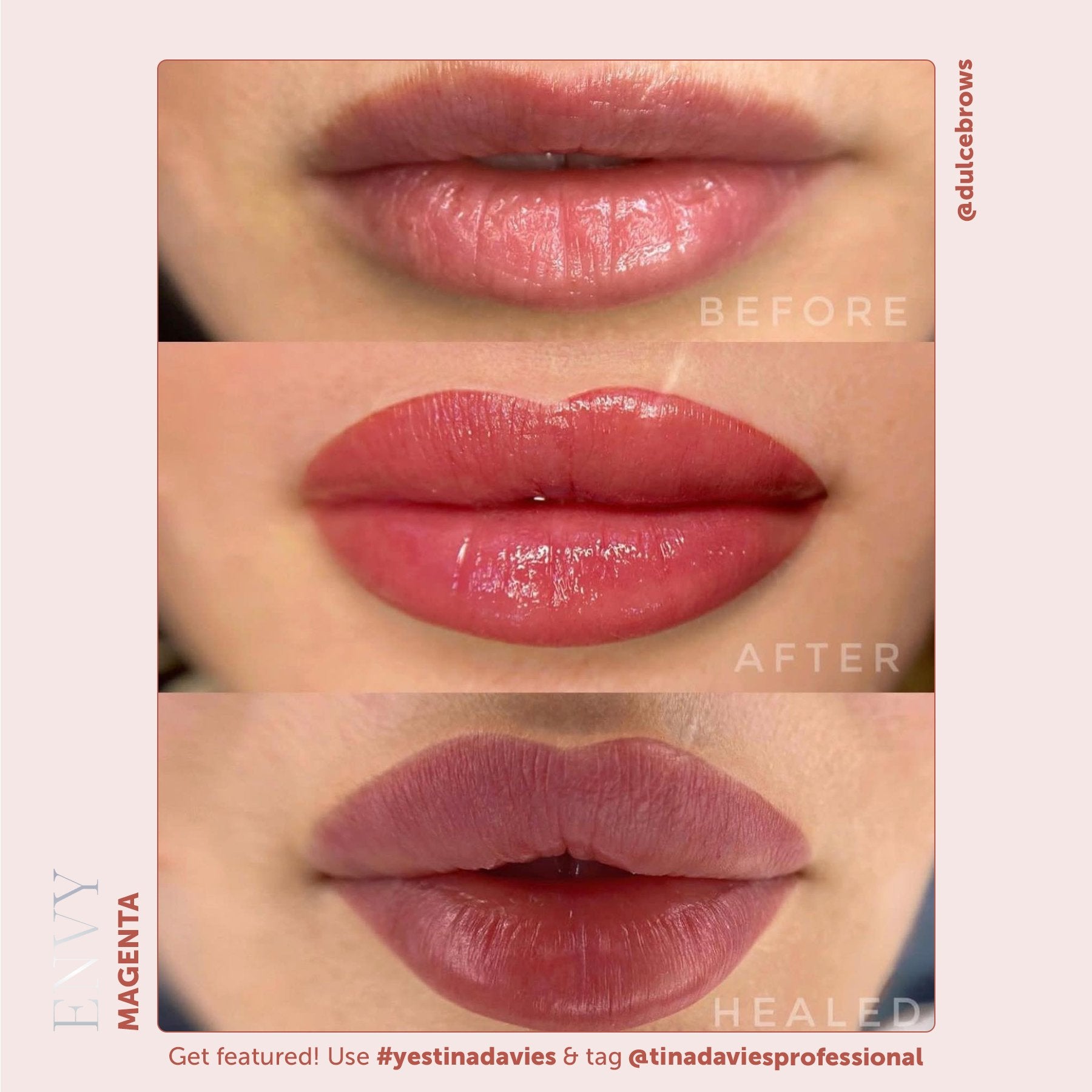 Tina Davies x Perma Blend Envy Lip Pigments - Envy Magenta Healed Result Lip Blushing Permanent Makeup Pigments