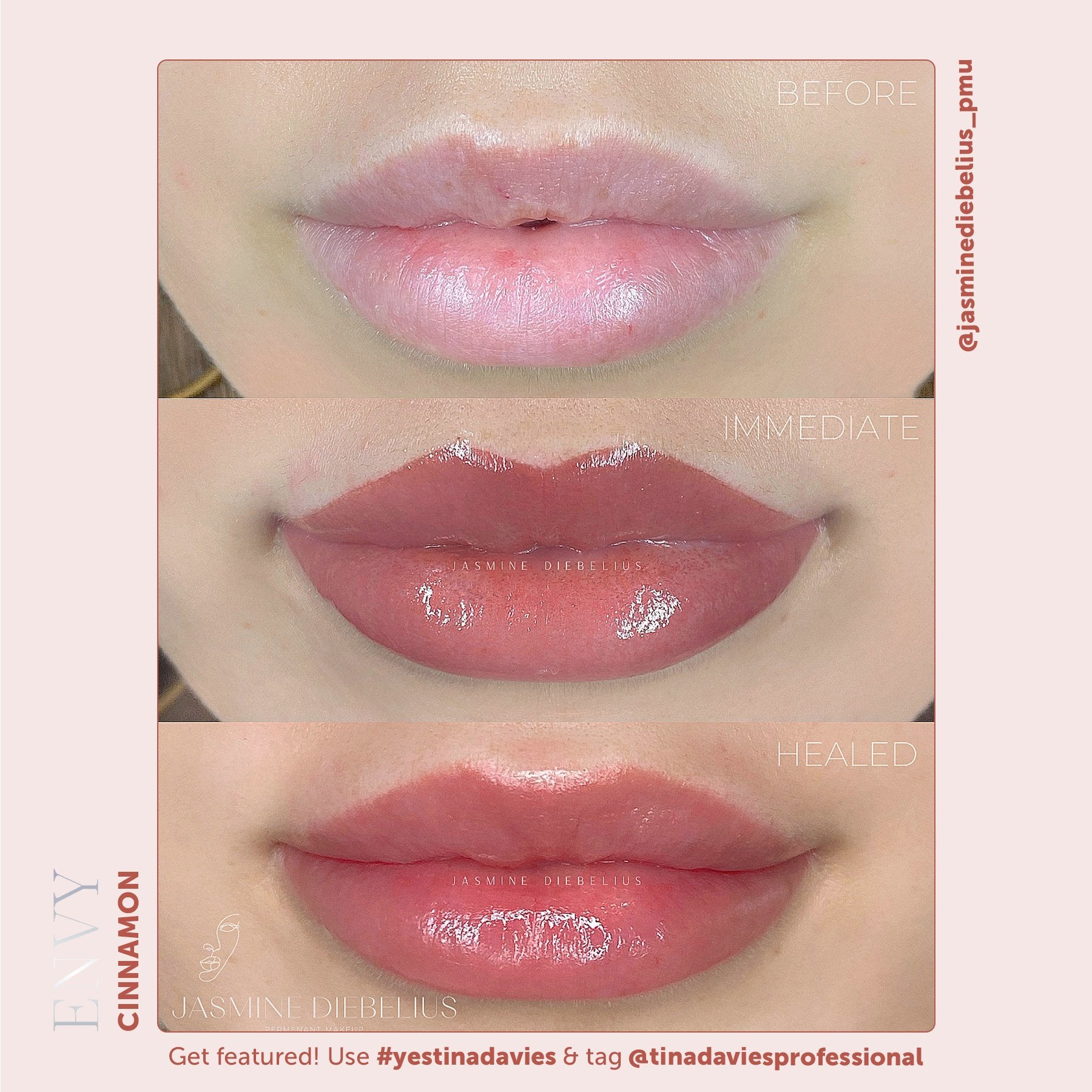 Tina Davies x Perma Blend Envy Lip Pigments - Envy Cinnamon Lip Blushing Permanent Makeup Pigments - Tina Davies Professional