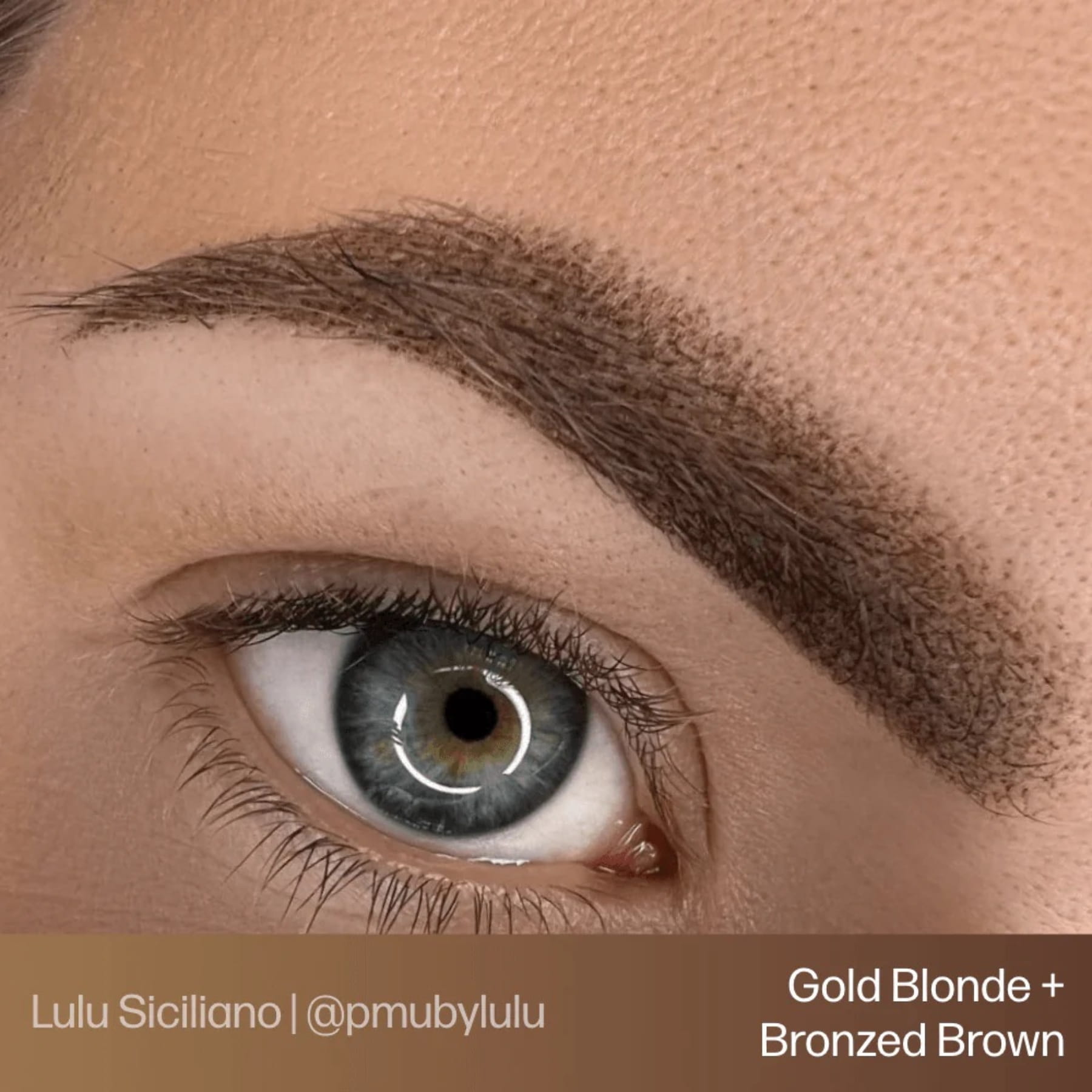 Evenflo Blonde 2 Brunette Set - Tina Davies Professional
