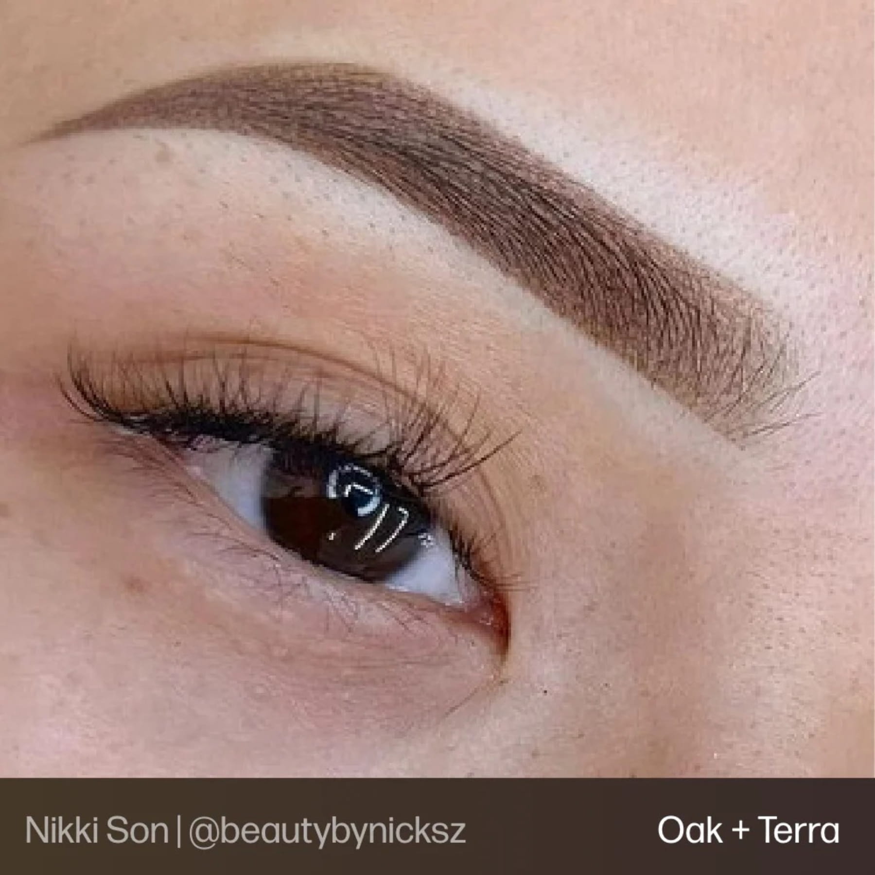 Lulu Siciliano x Perma Blend Evenflo Colors Brow Set