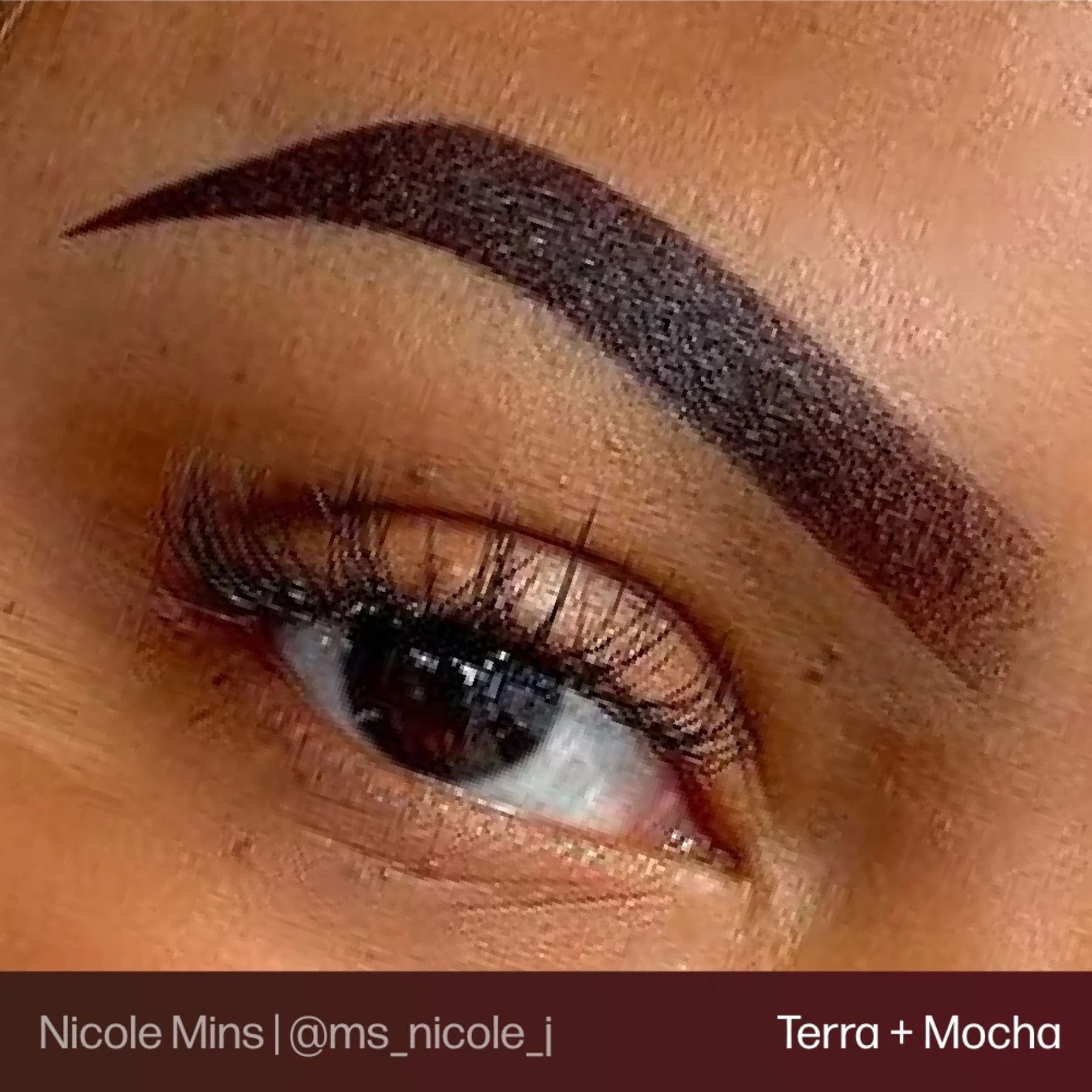 Evenflo Colours | Brow Shades - Tina Davies Professional