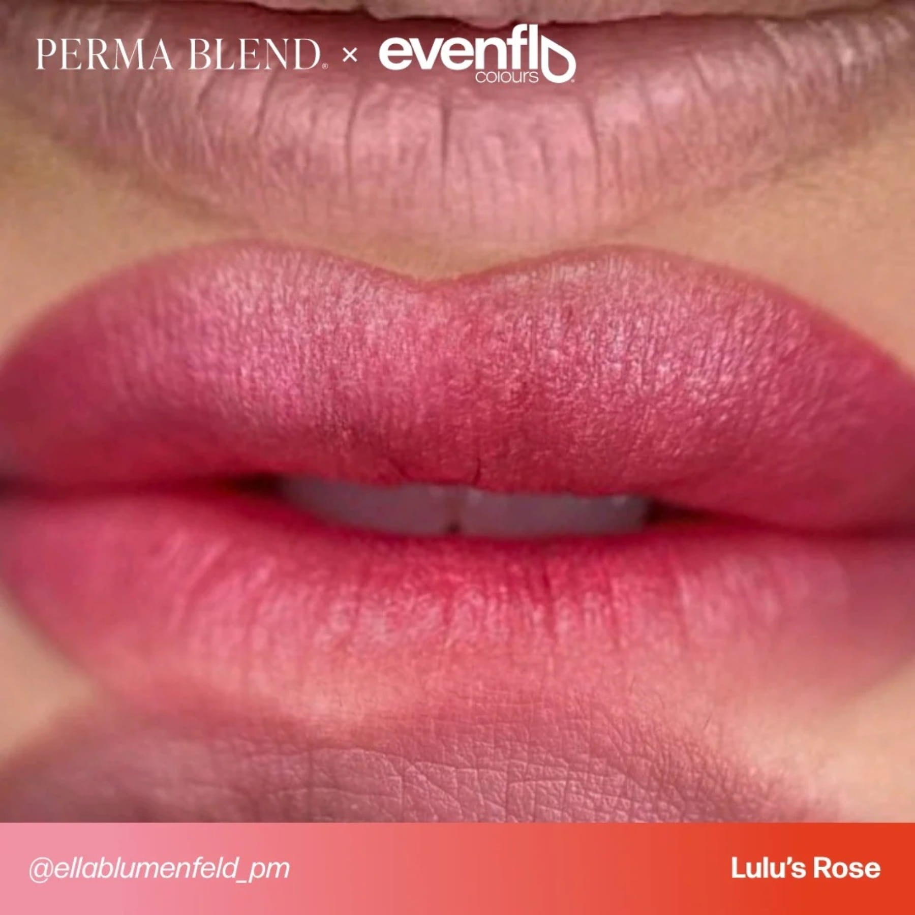 Evenflo Colours | Lip Set - Tina Davies Professional