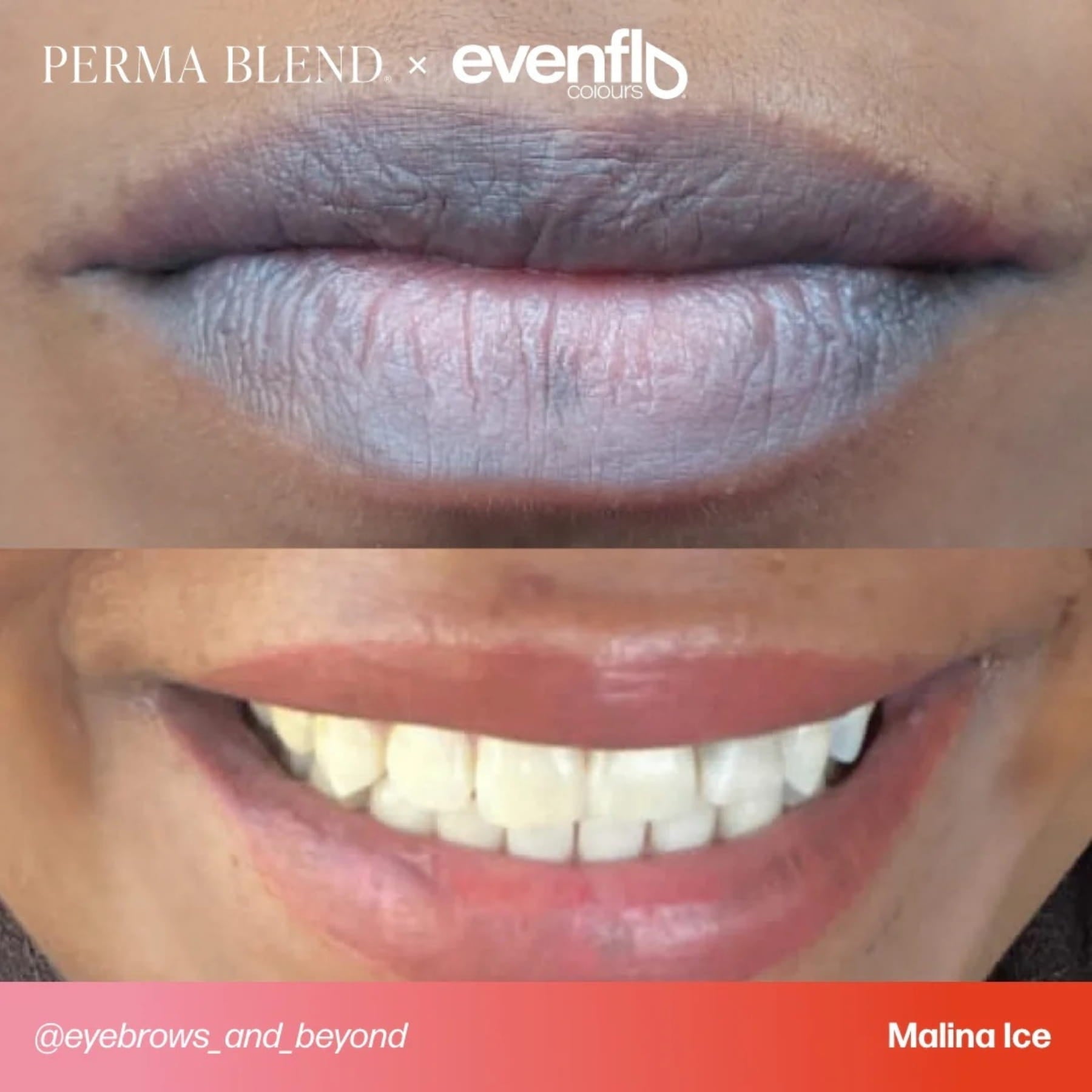 Evenflo Colours | Lip Shades - Tina Davies Professional