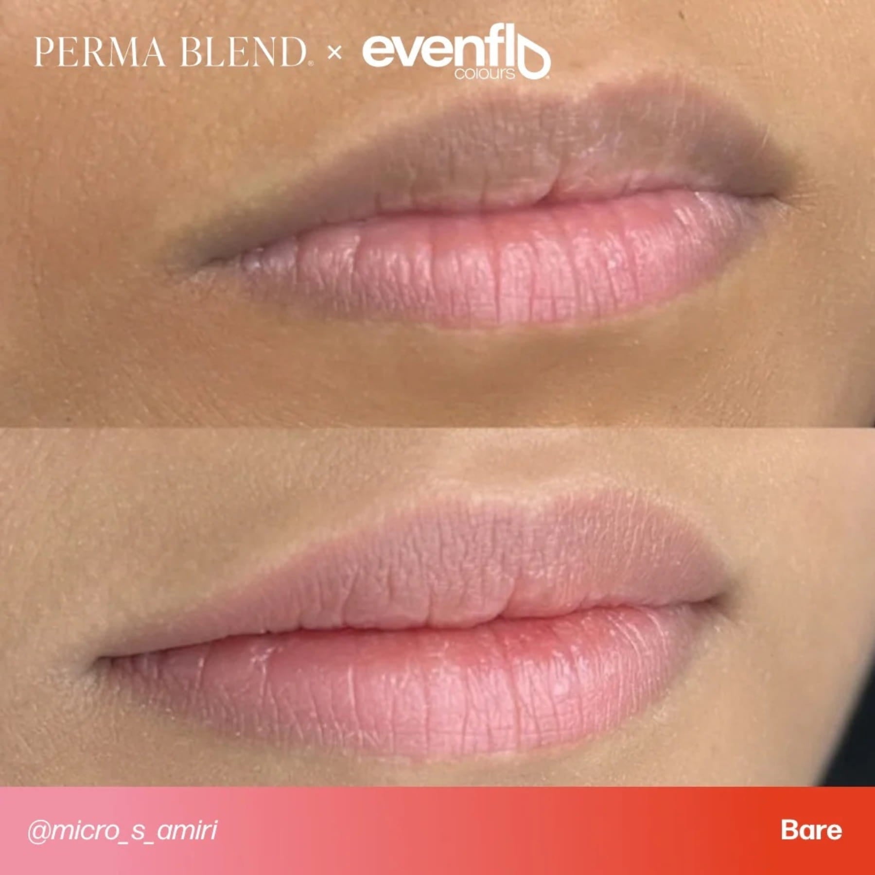 Evenflo Colours | Lip Shades - Tina Davies Professional